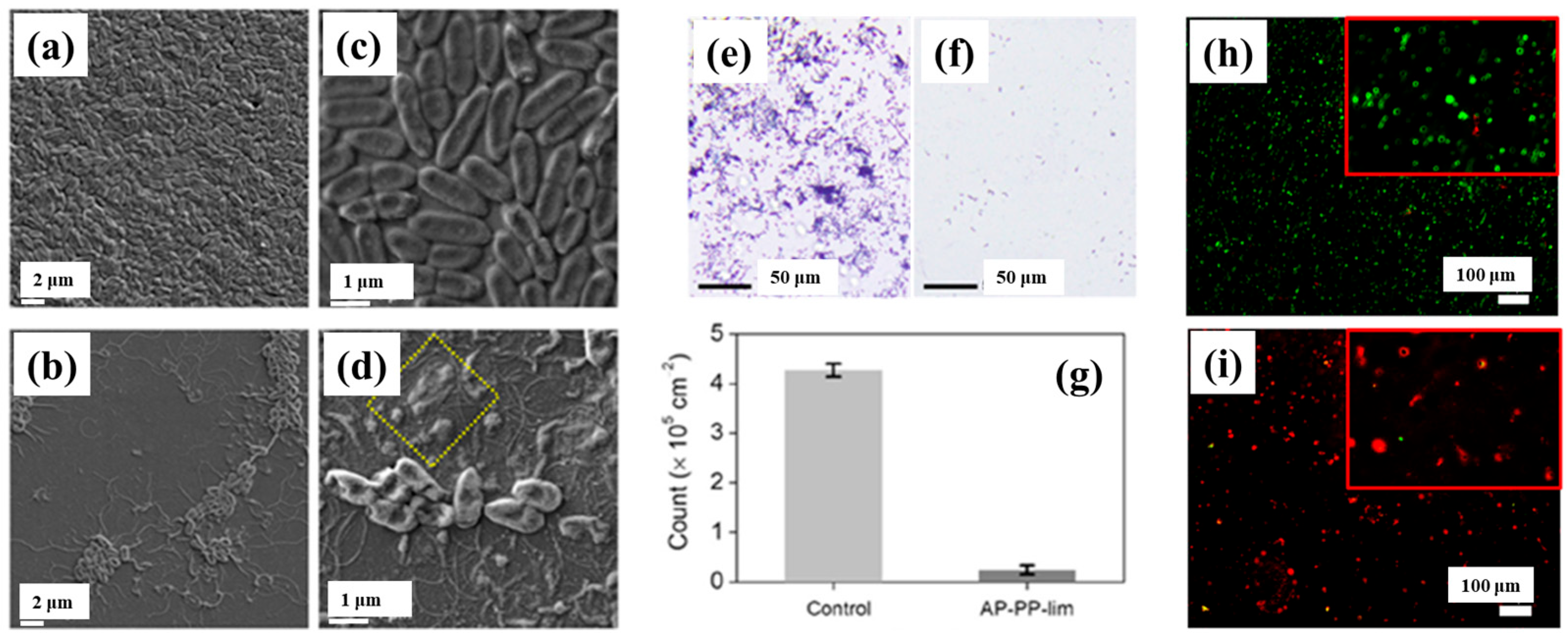 Polymers 17 02856 g007 Polymers 17 02856 g007