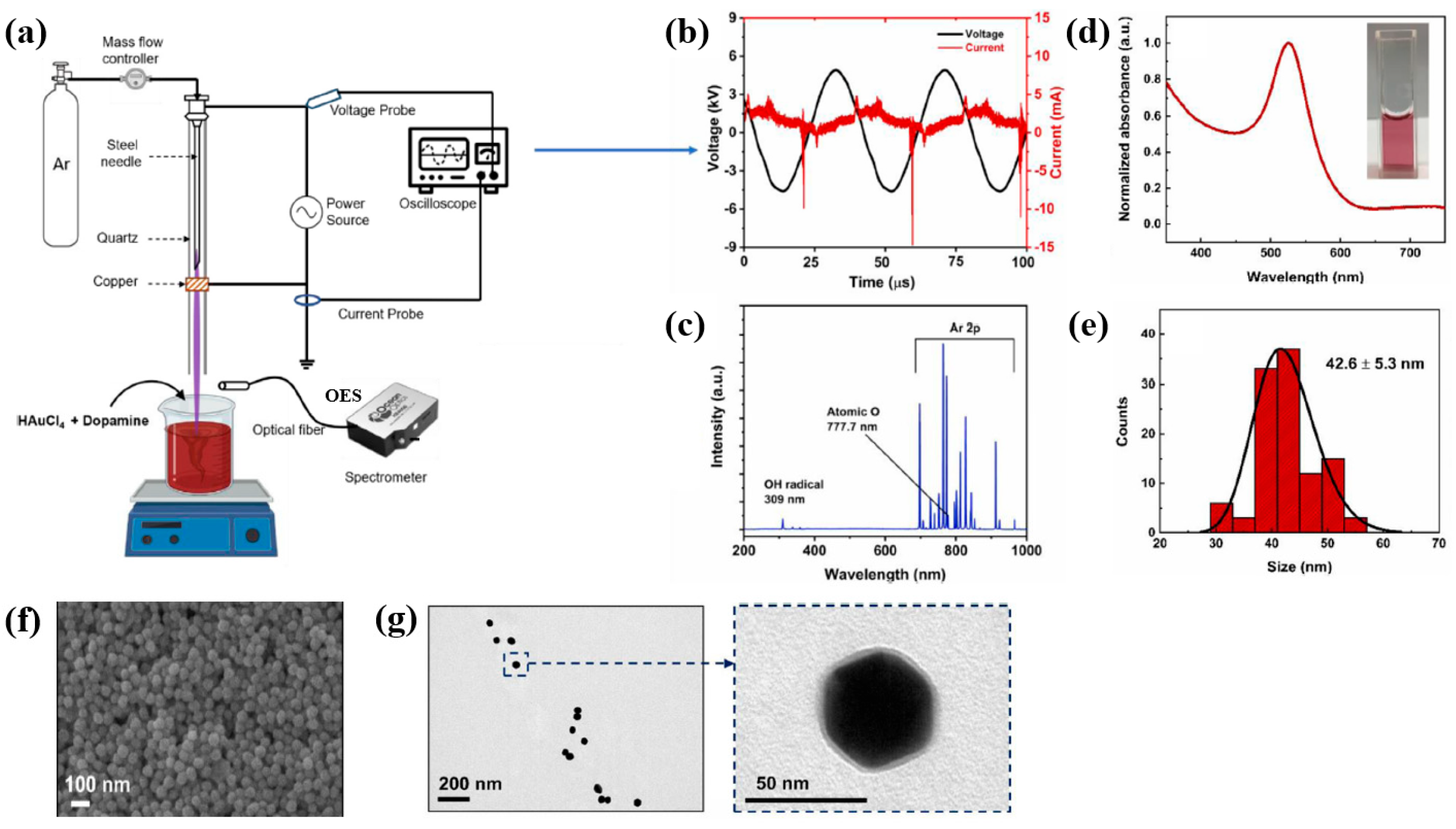 Polymers 17 02856 g012 Polymers 17 02856 g012