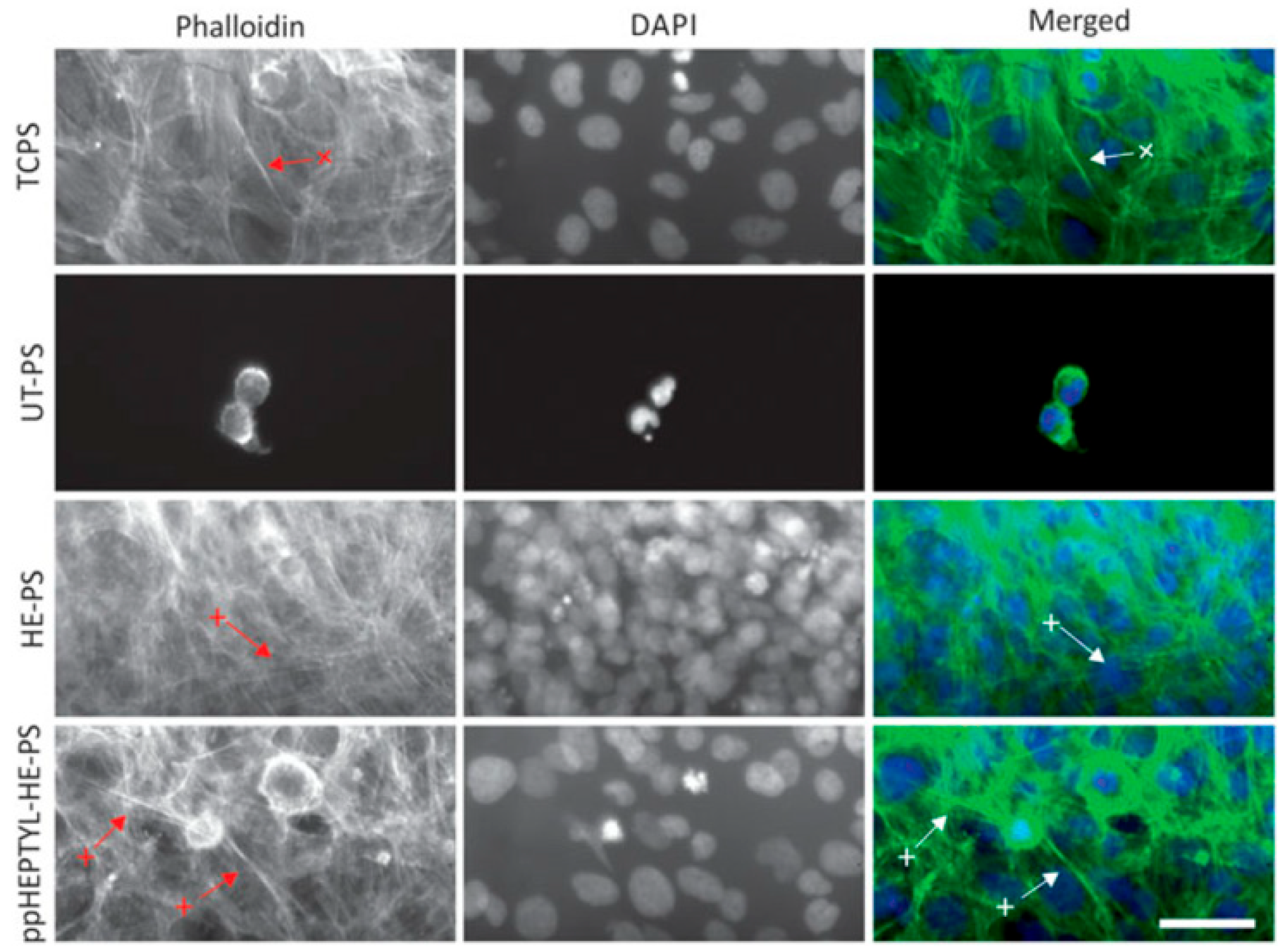 Polymers 17 02856 g015 Polymers 17 02856 g015