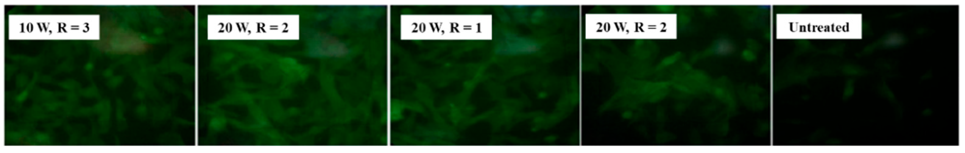 Polymers 17 02856 g023 Polymers 17 02856 g023