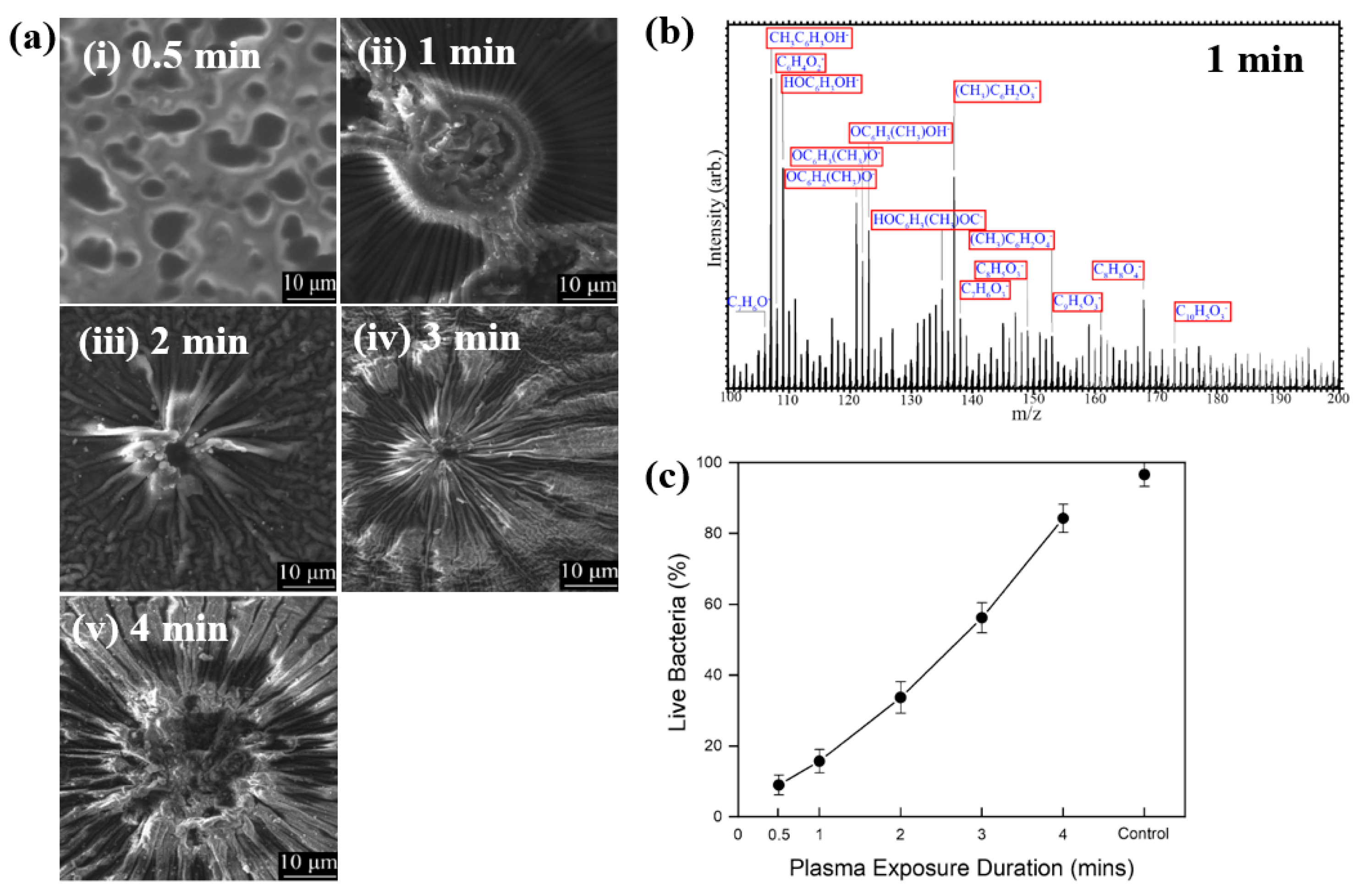 Polymers 17 02856 g027 Polymers 17 02856 g027