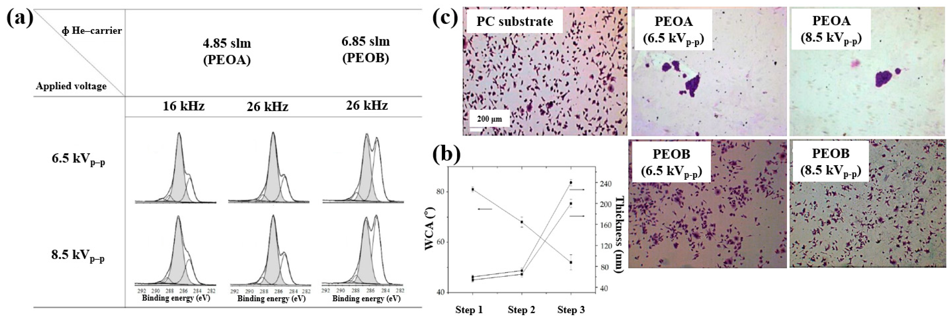 Polymers 17 02856 g029 Polymers 17 02856 g029