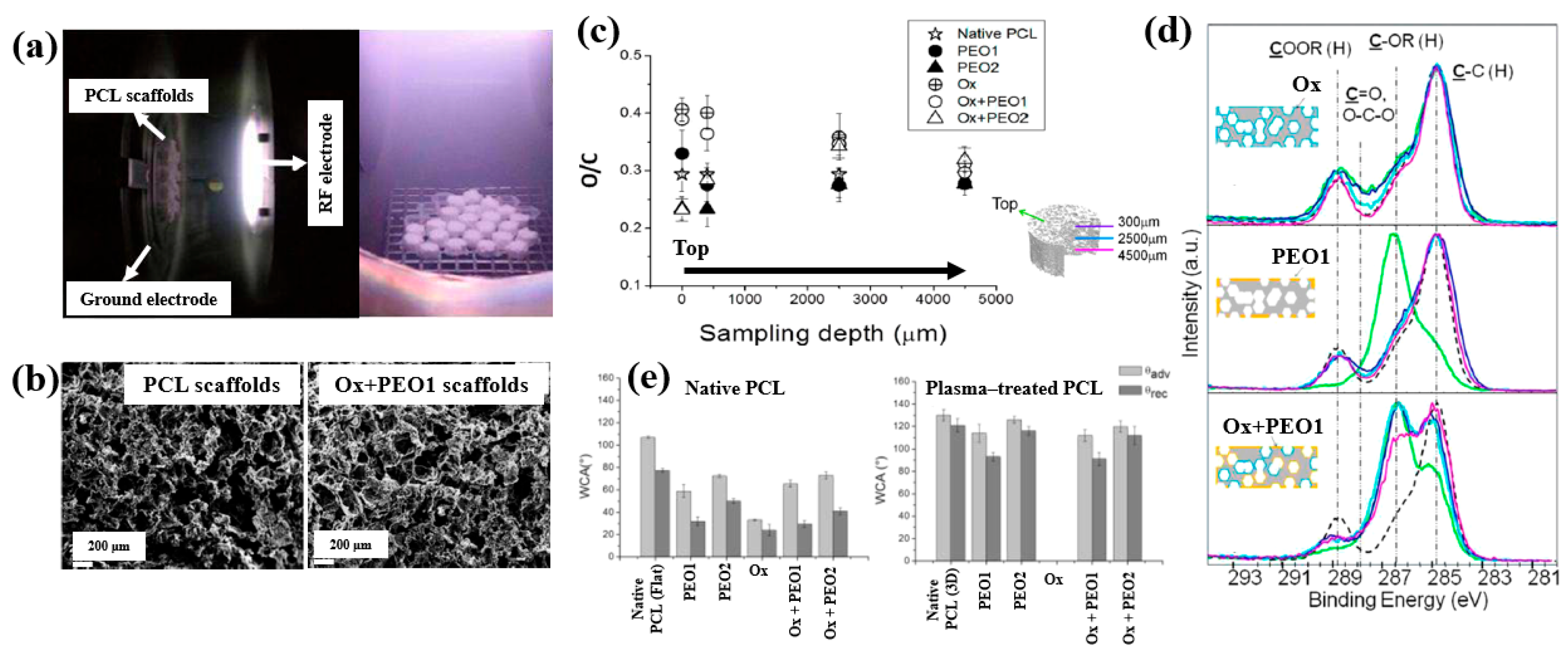Polymers 17 02856 g030 Polymers 17 02856 g030