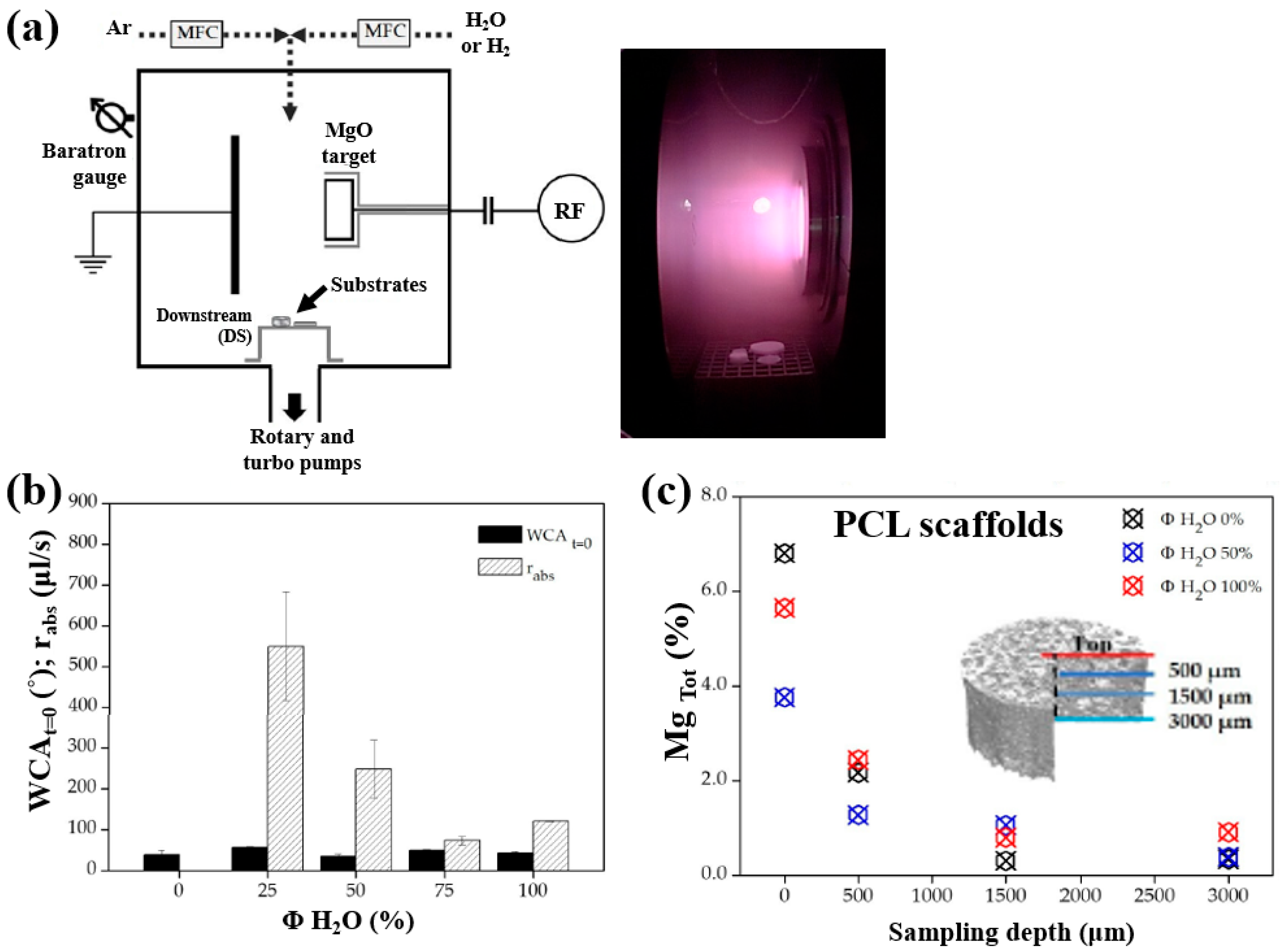 Polymers 17 02856 g032 Polymers 17 02856 g032