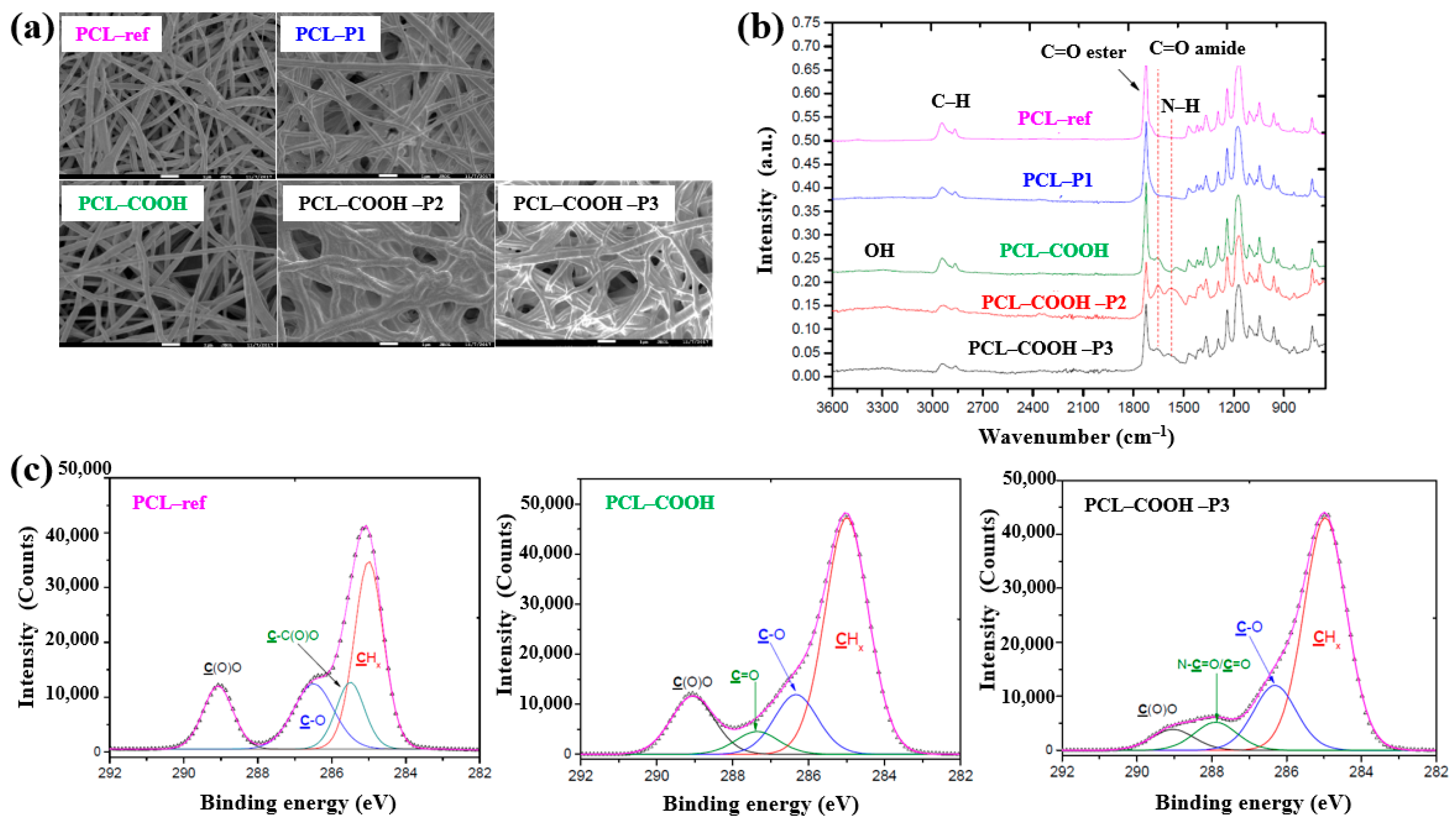 Polymers 17 02856 g036 Polymers 17 02856 g036
