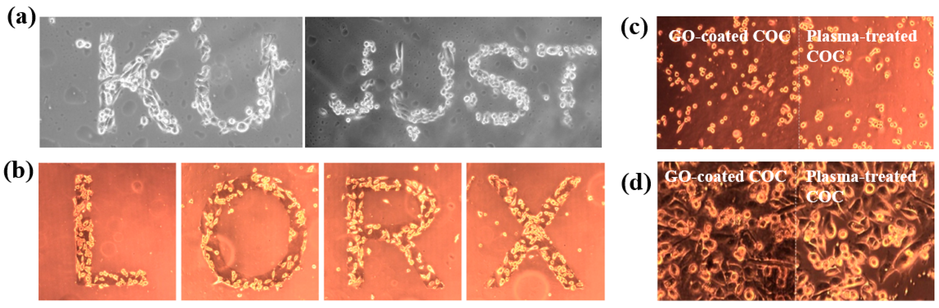 Polymers 17 02856 g043 Polymers 17 02856 g043