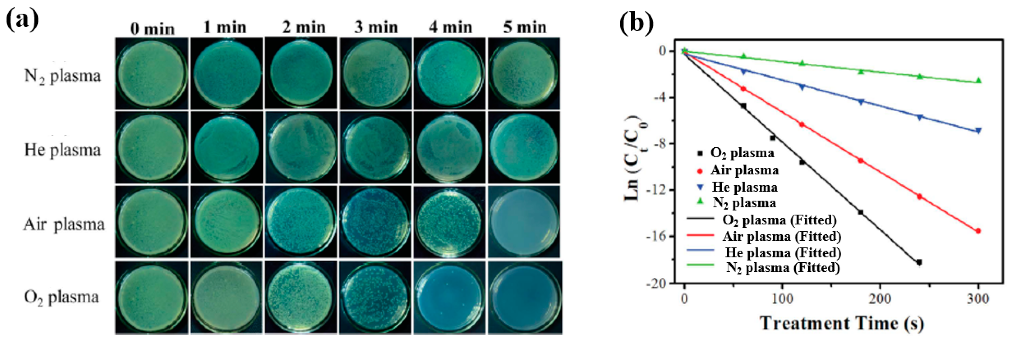 Polymers 17 02856 g059 Polymers 17 02856 g059