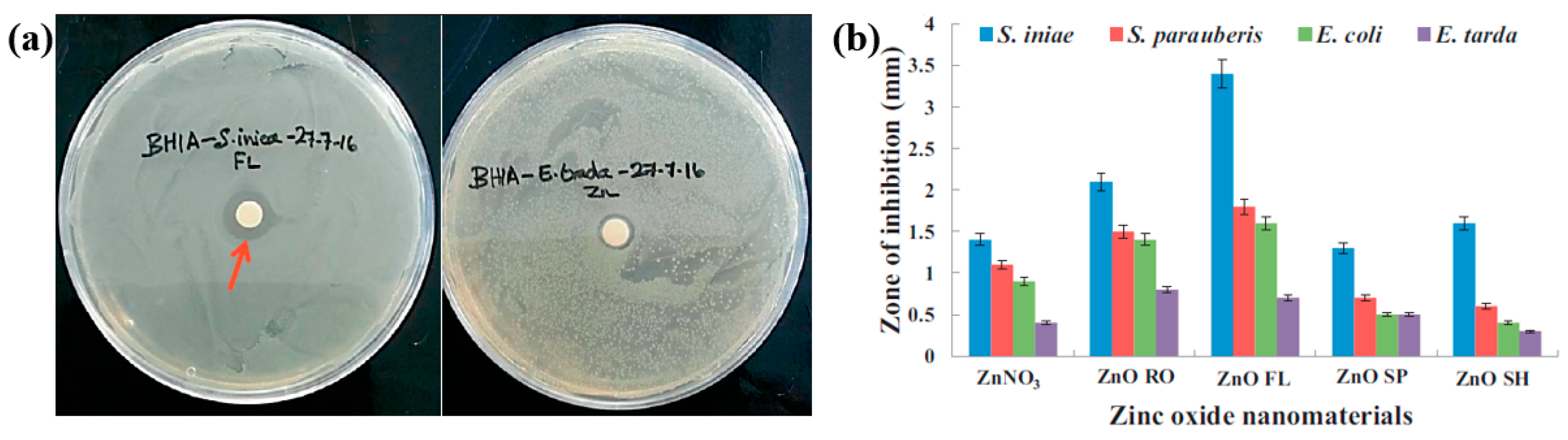 Polymers 17 02856 g063 Polymers 17 02856 g063
