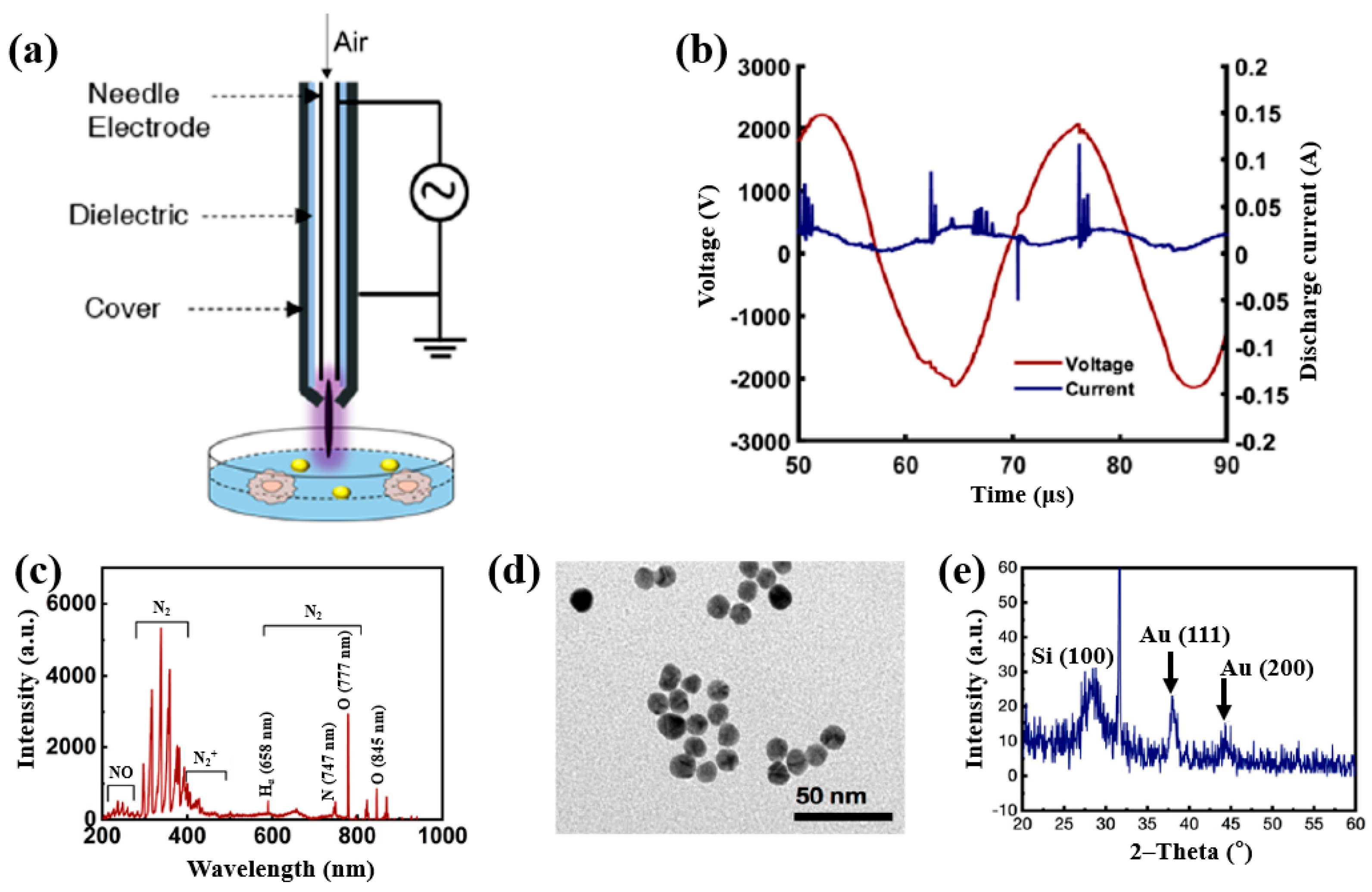 Polymers 17 02856 g064 Polymers 17 02856 g064