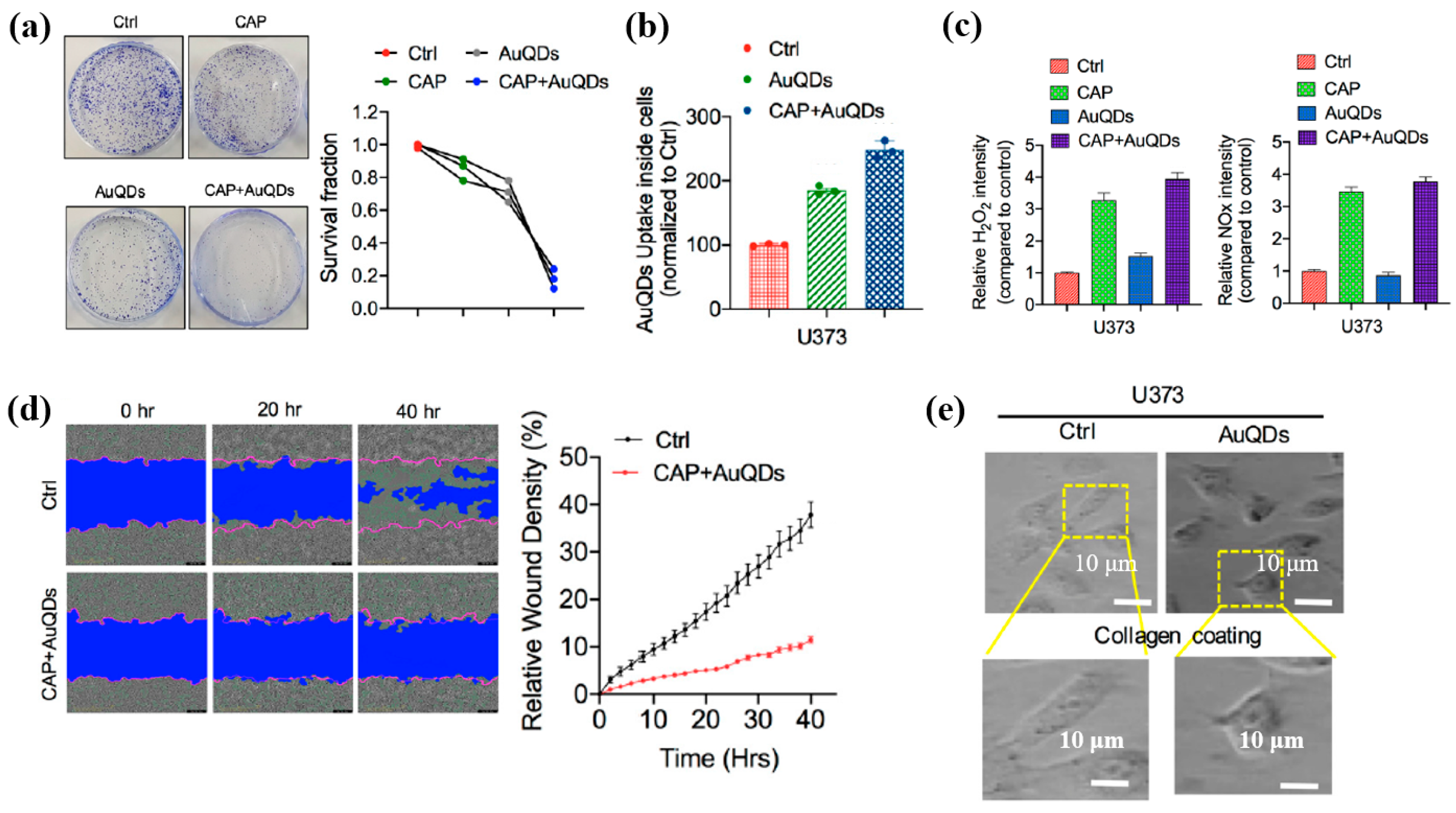 Polymers 17 02856 g065 Polymers 17 02856 g065