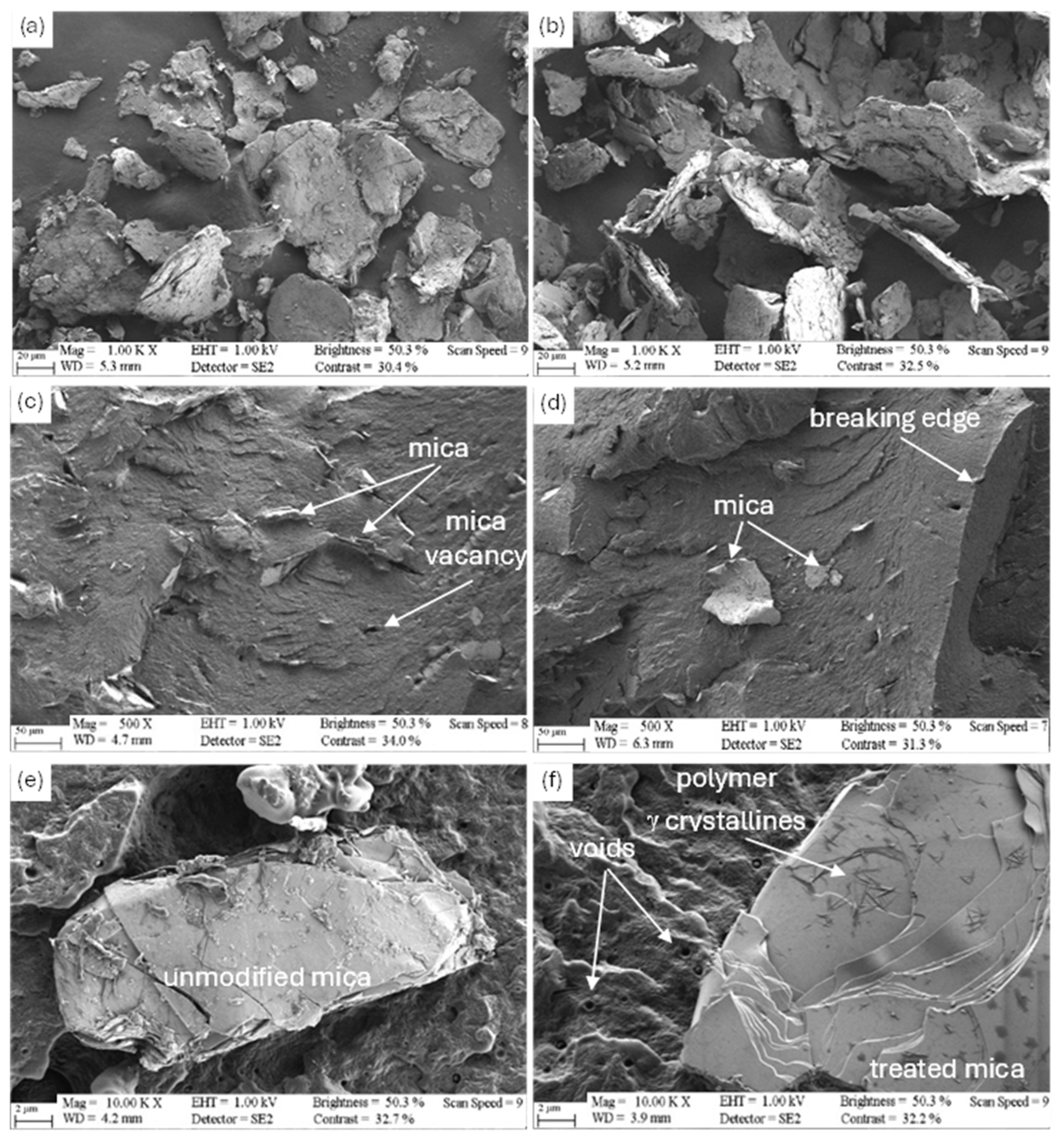 Polymers 17 02861 g008 Polymers 17 02861 g008