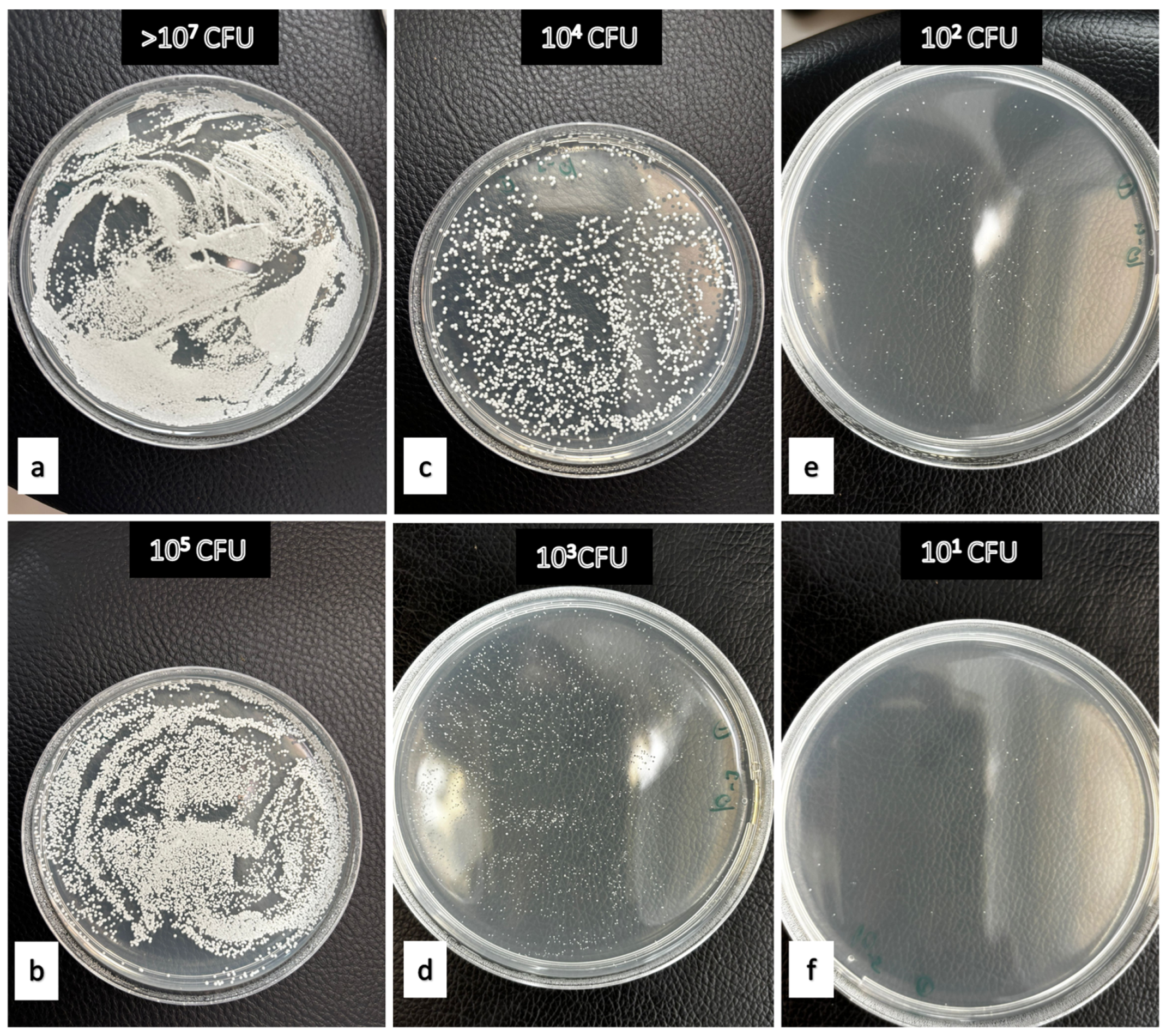 Polymers 17 02869 g002 Polymers 17 02869 g002
