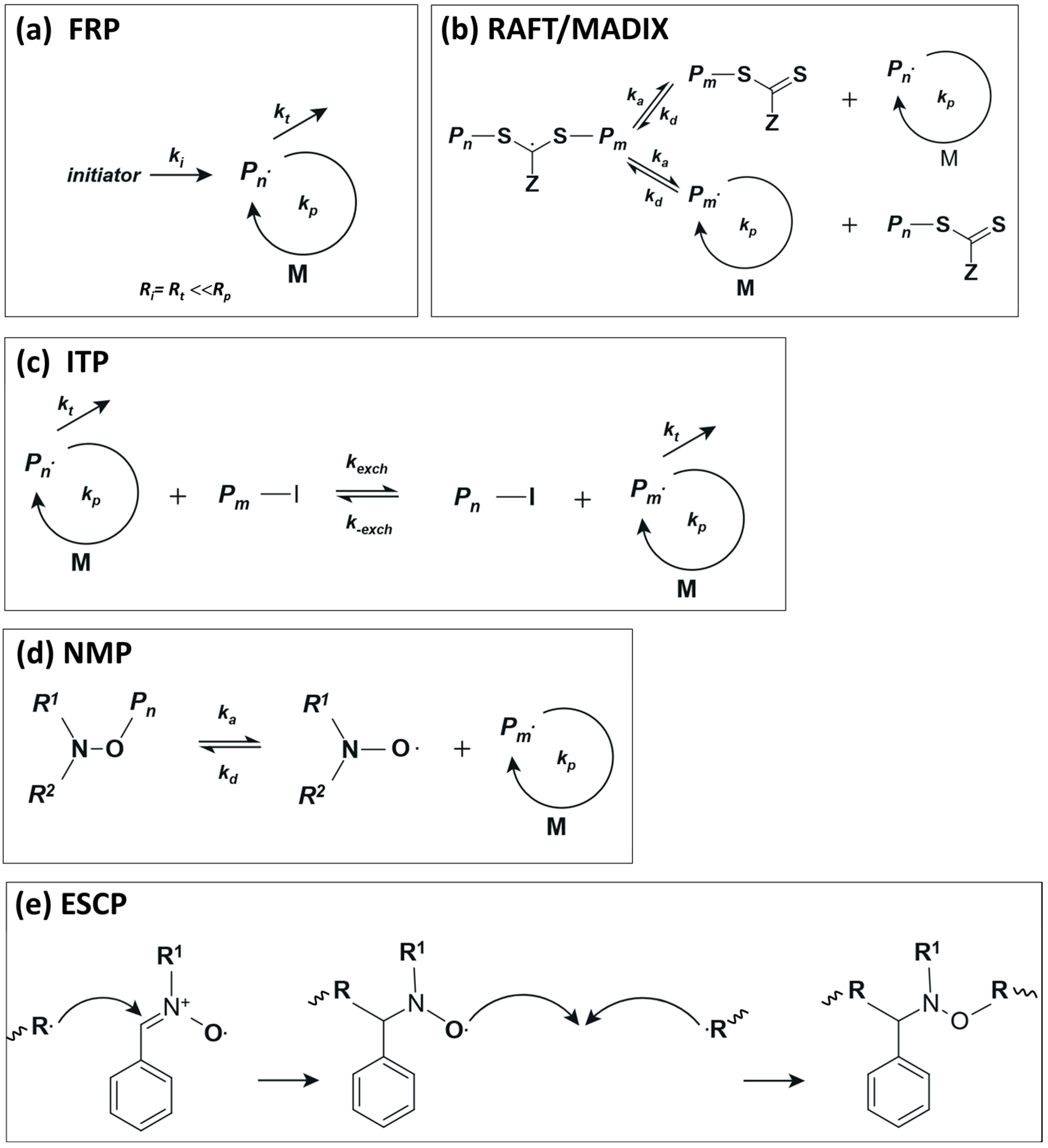 Polymers 17 02871 sch001