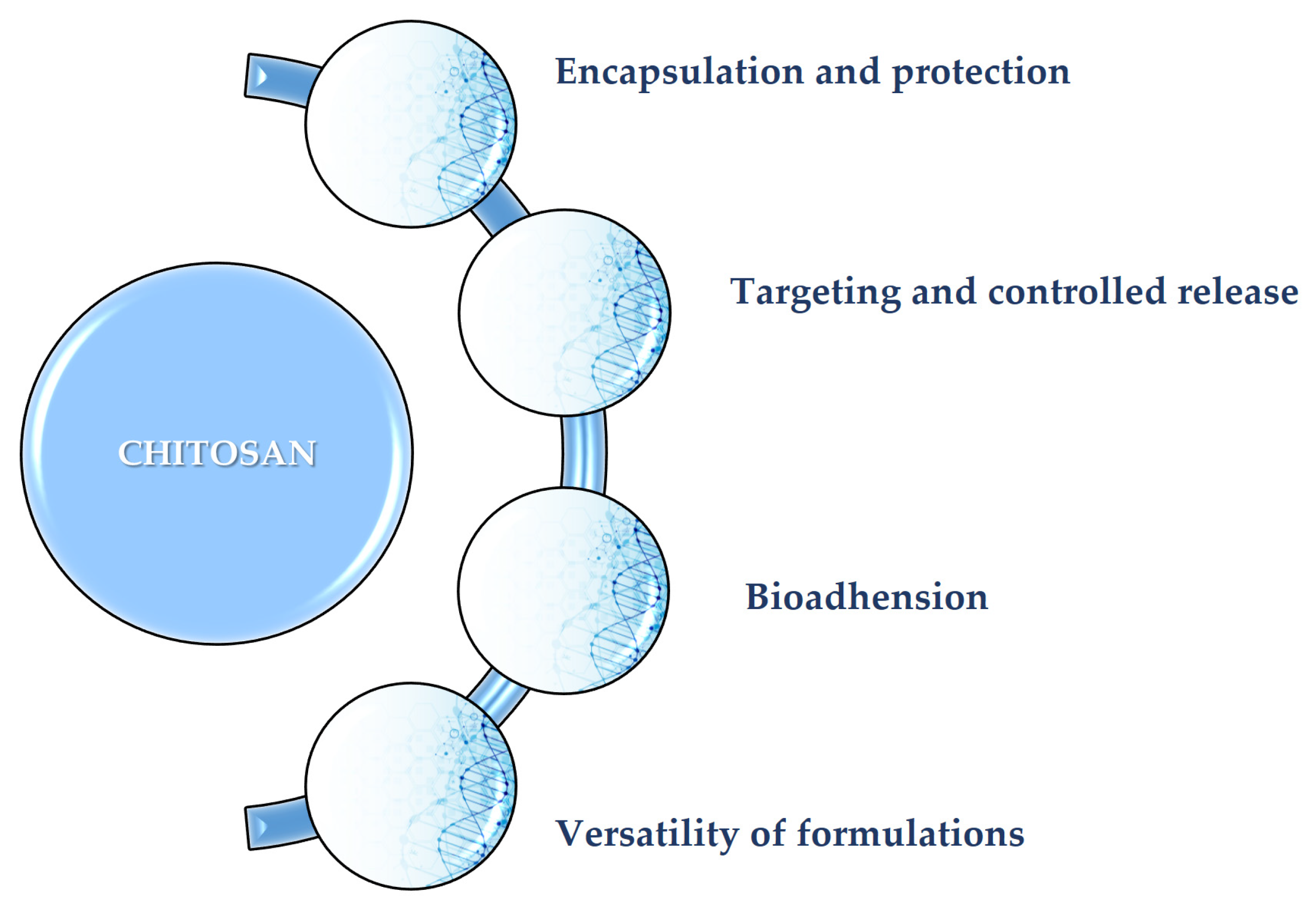 Polymers 17 02872 g002 Polymers 17 02872 g002