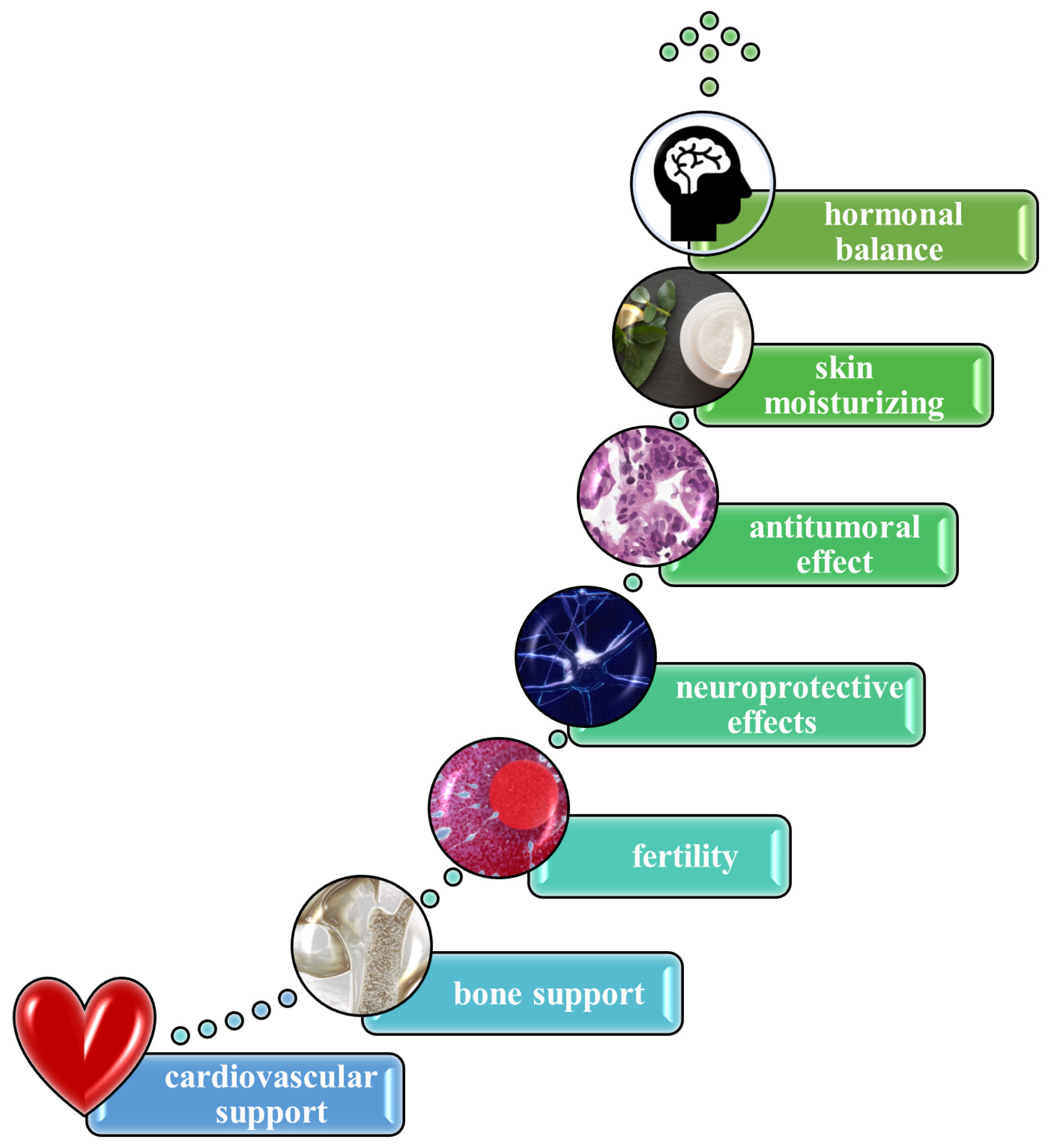 Polymers 17 02872 g005 Polymers 17 02872 g005