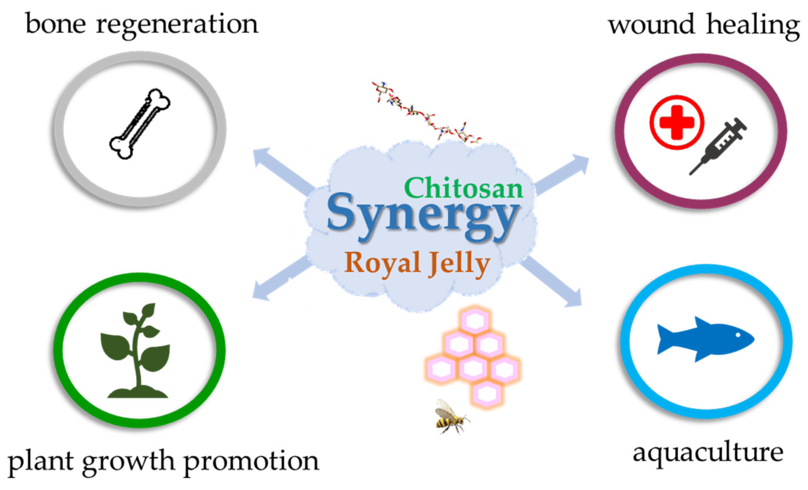 Polymers 17 02872 g006 Polymers 17 02872 g006