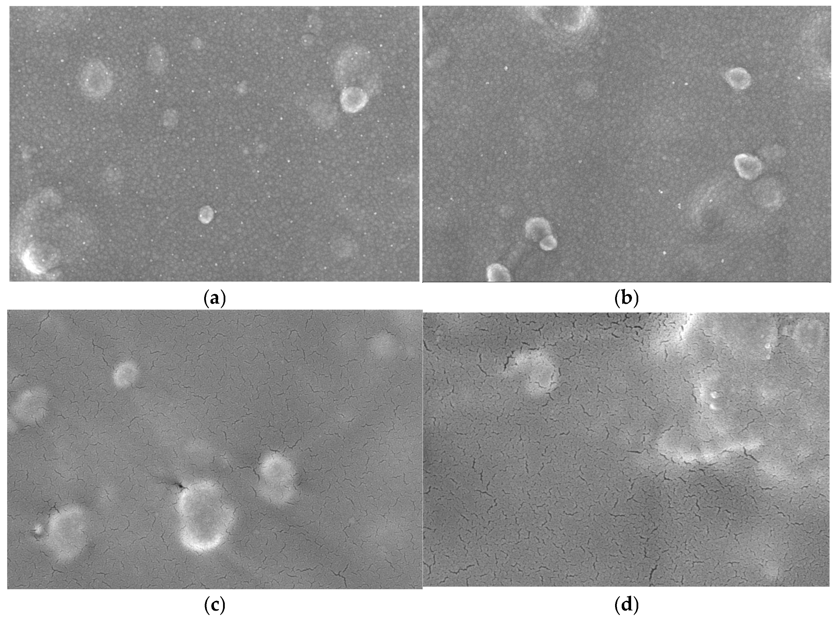 Polymers 17 02874 g001