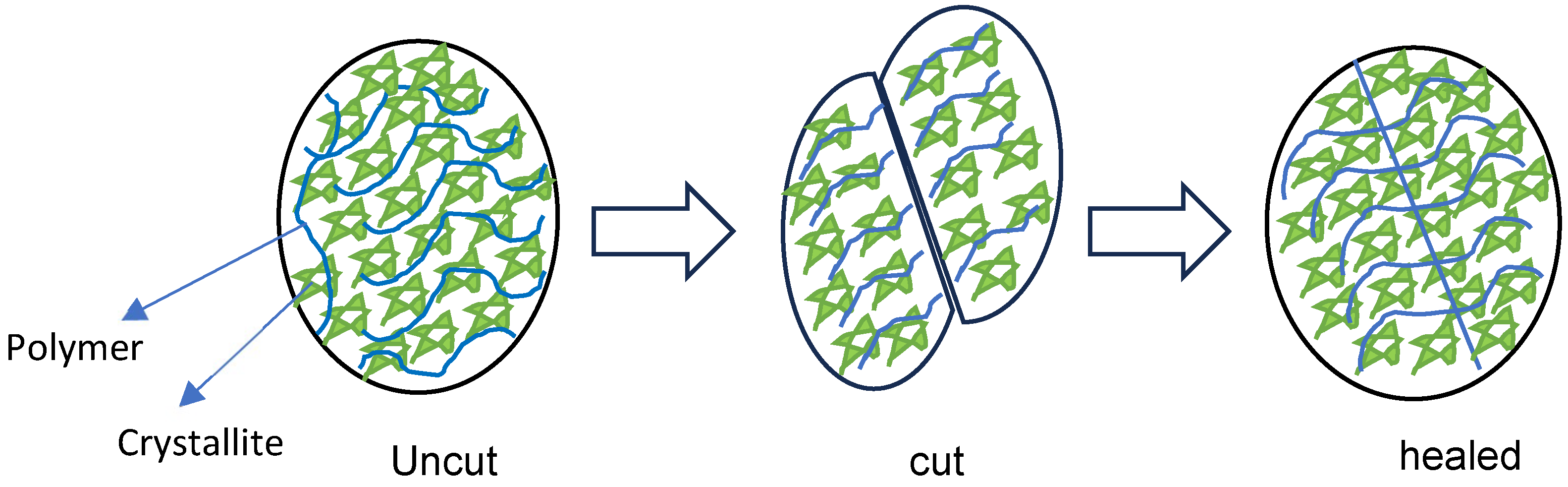 Polymers 17 02883 g001