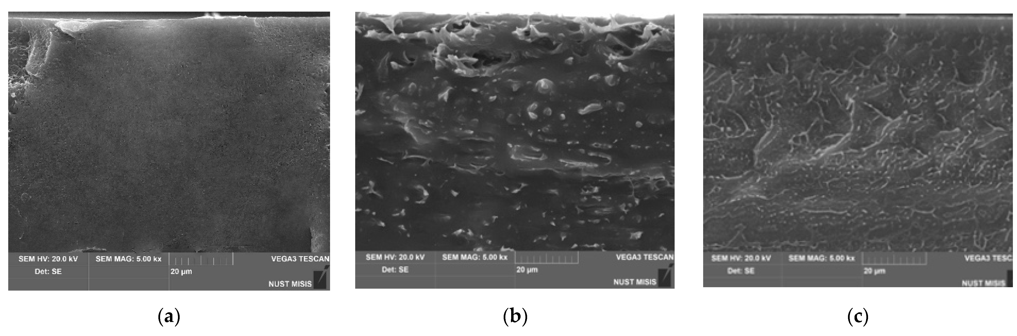 Polymers 17 02885 g006 Polymers 17 02885 g006