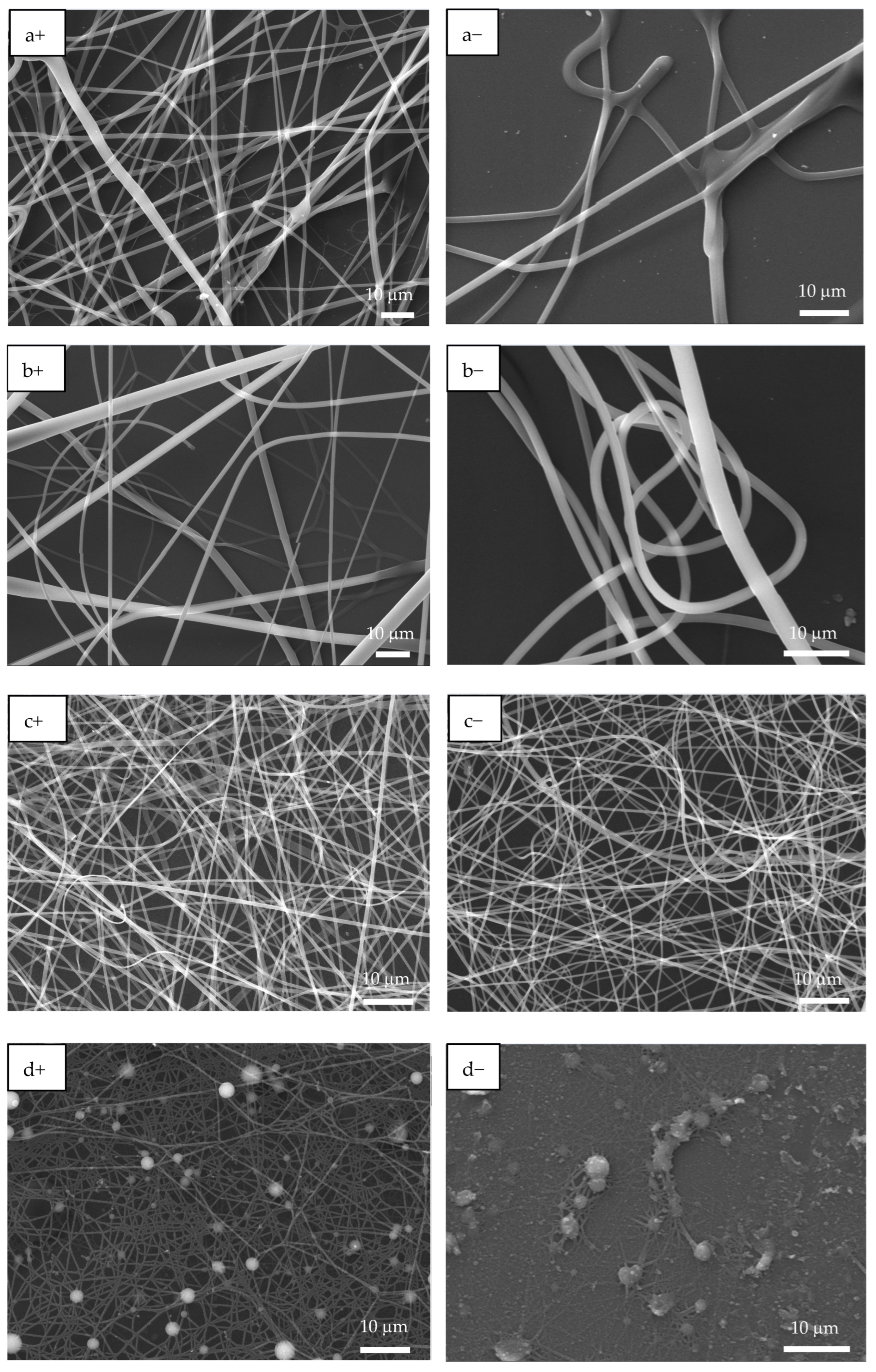Polymers 17 02888 g003a