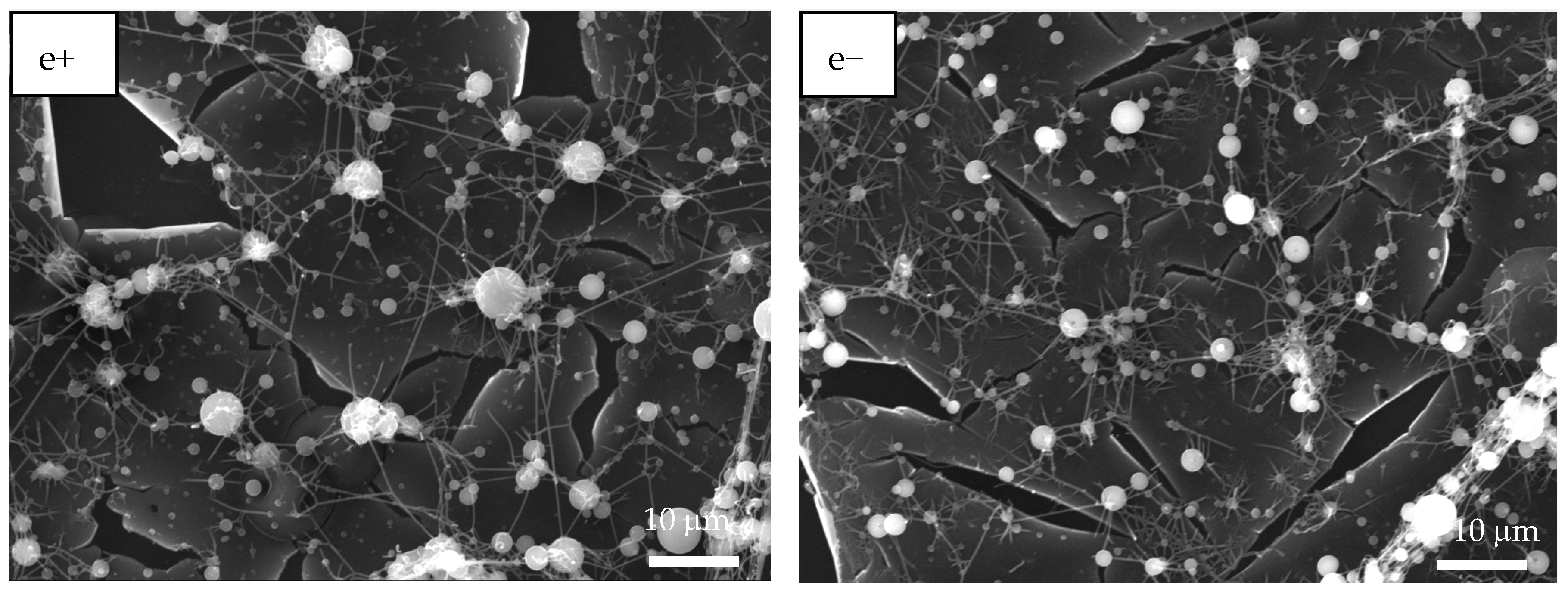 Polymers 17 02888 g003b