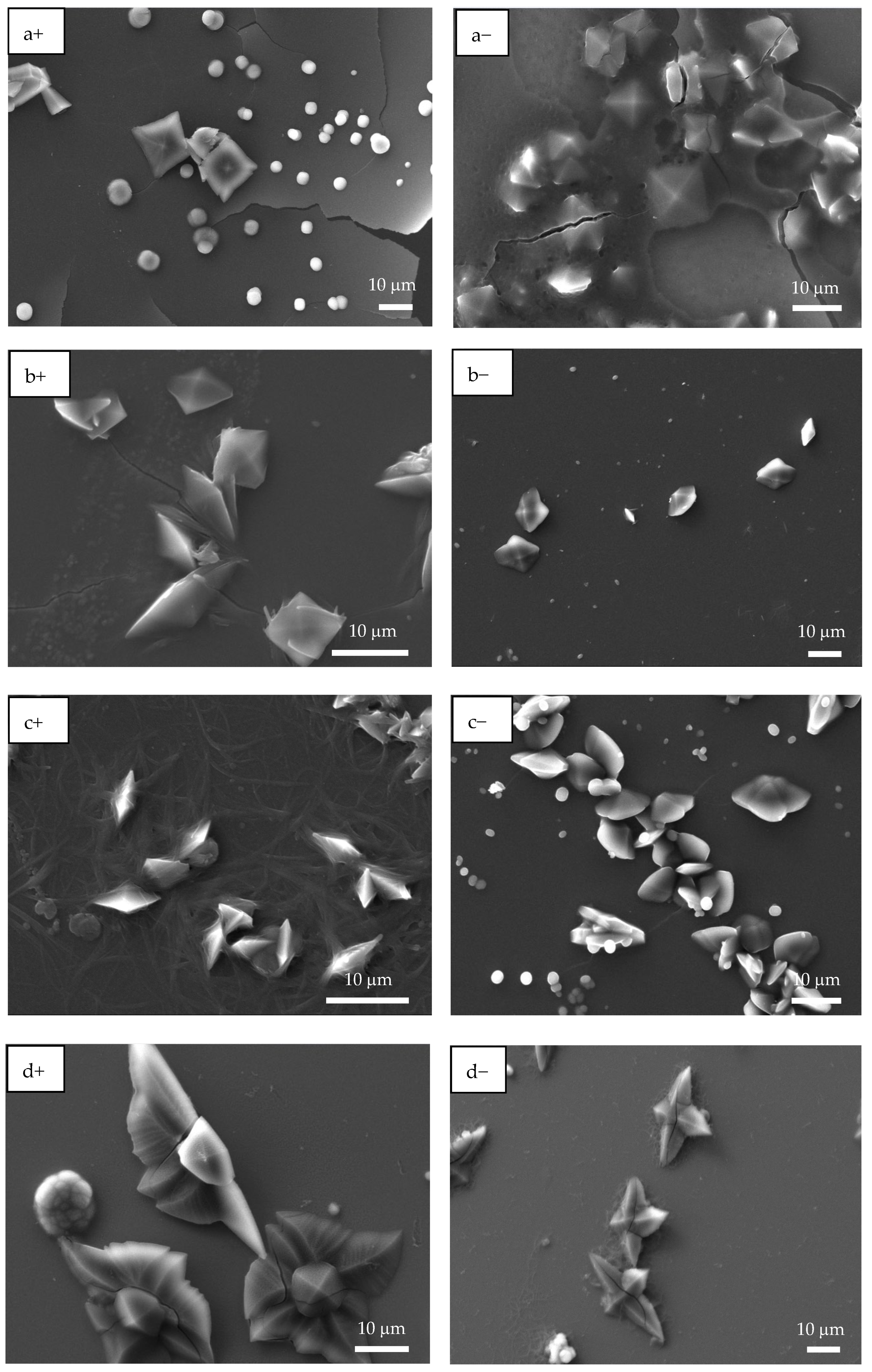 Polymers 17 02888 g006a