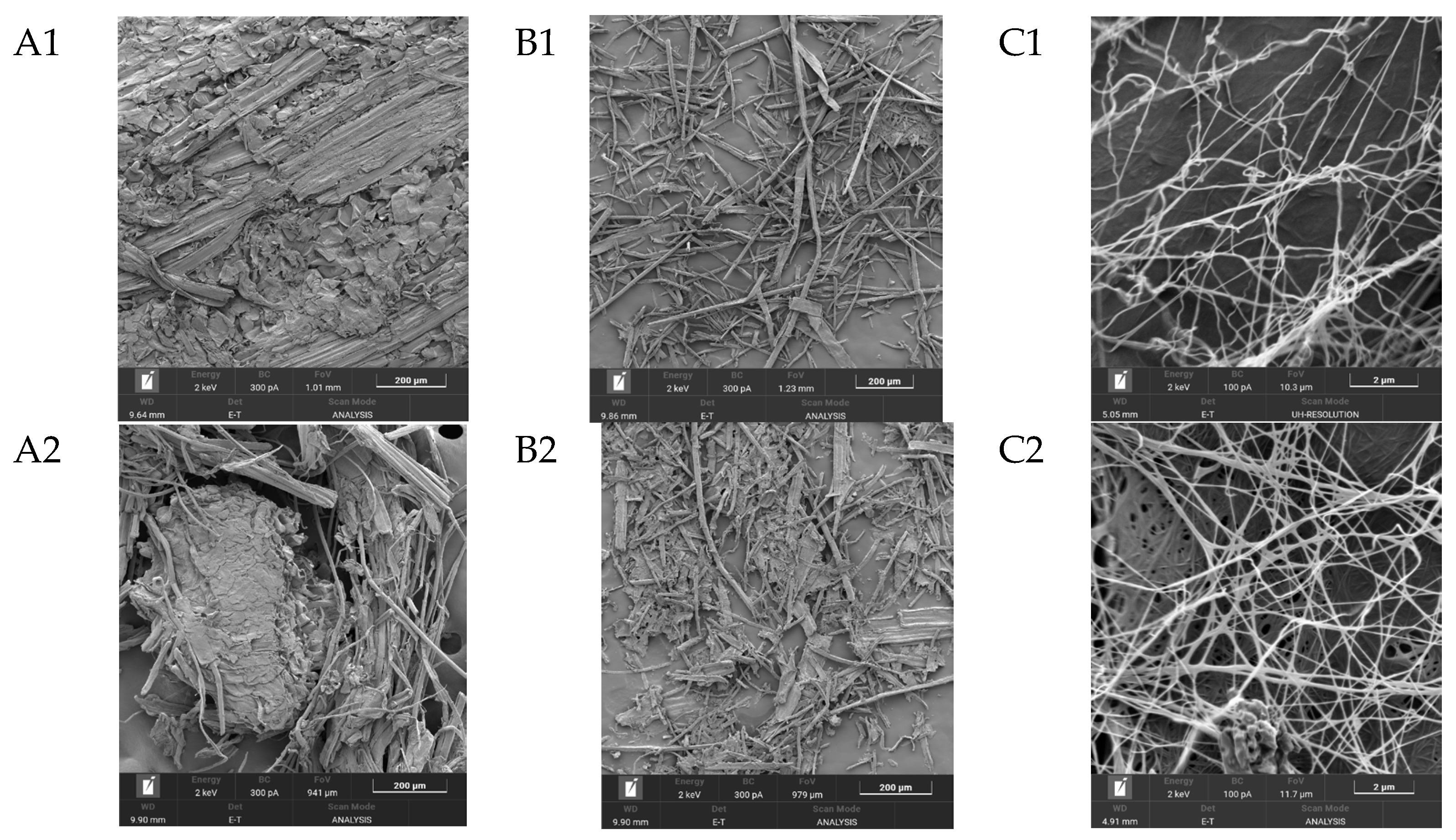 Polymers 17 02890 g005a