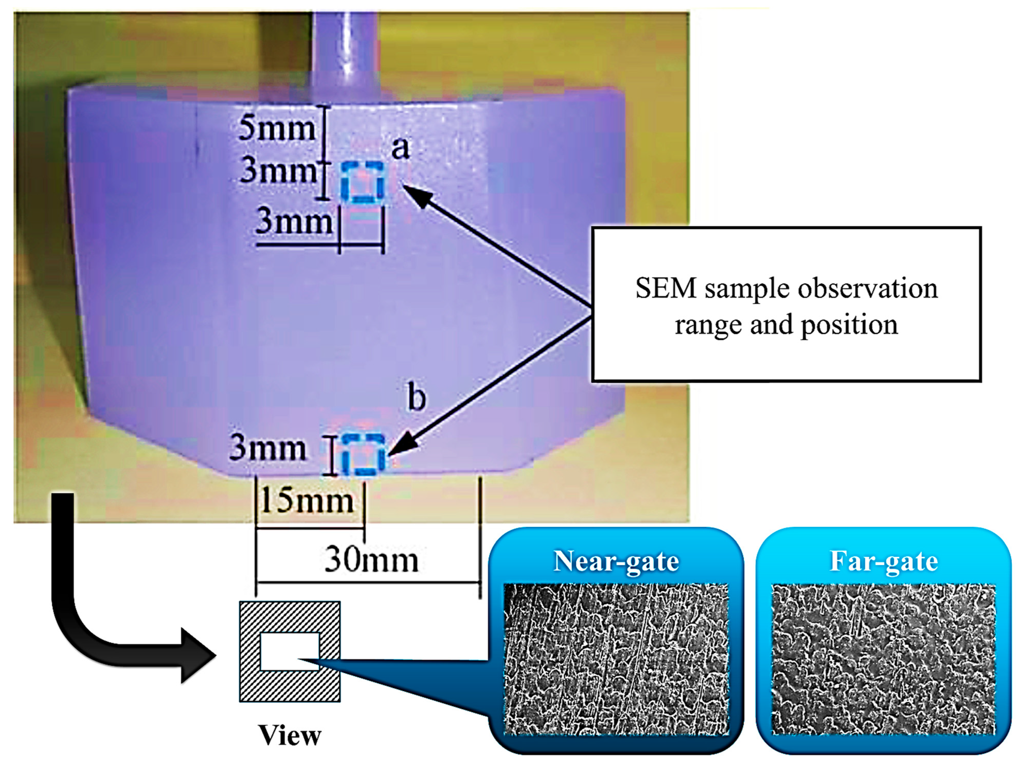 Polymers 17 02892 g005