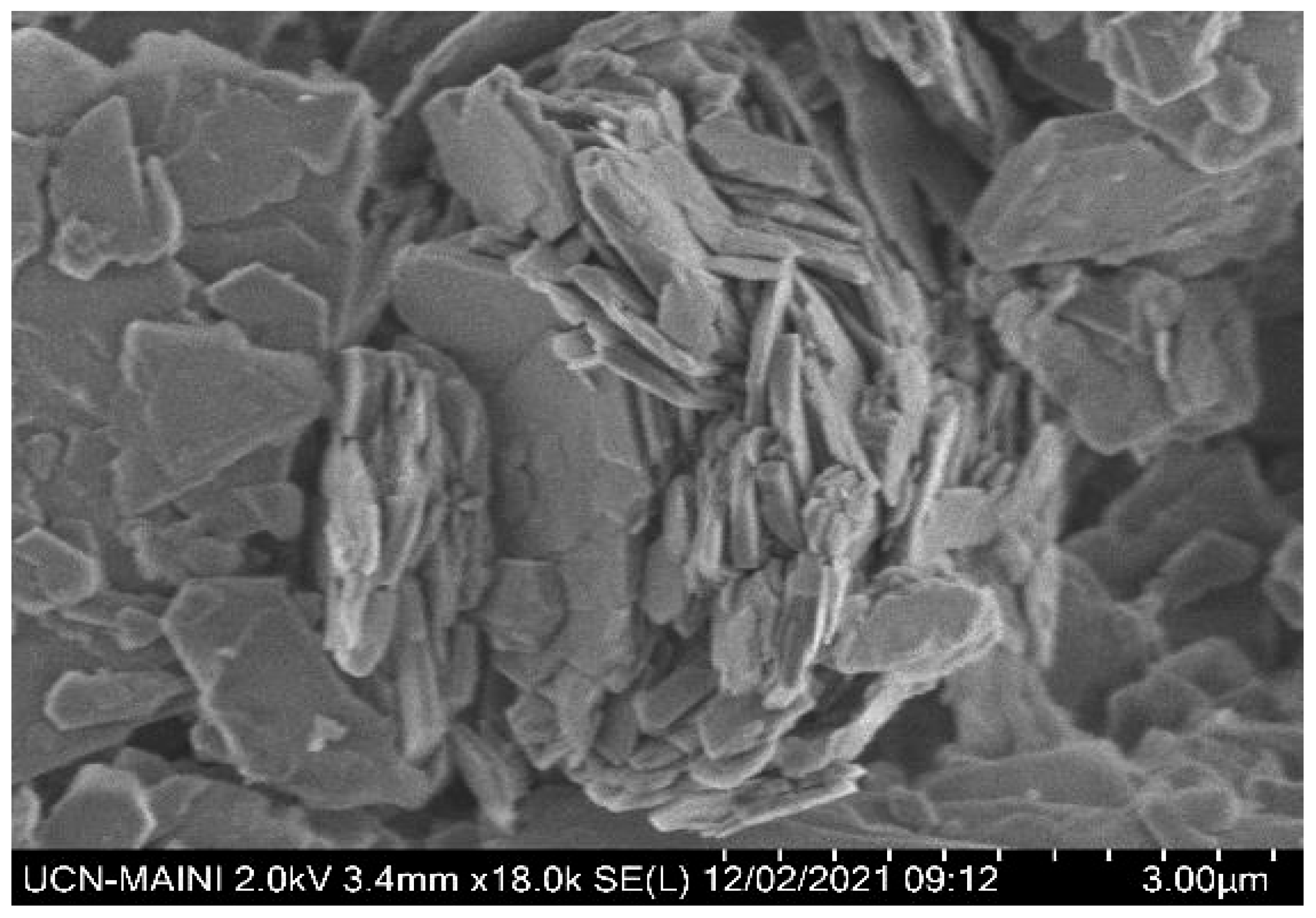 Polymers 17 02895 g002 Polymers 17 02895 g002