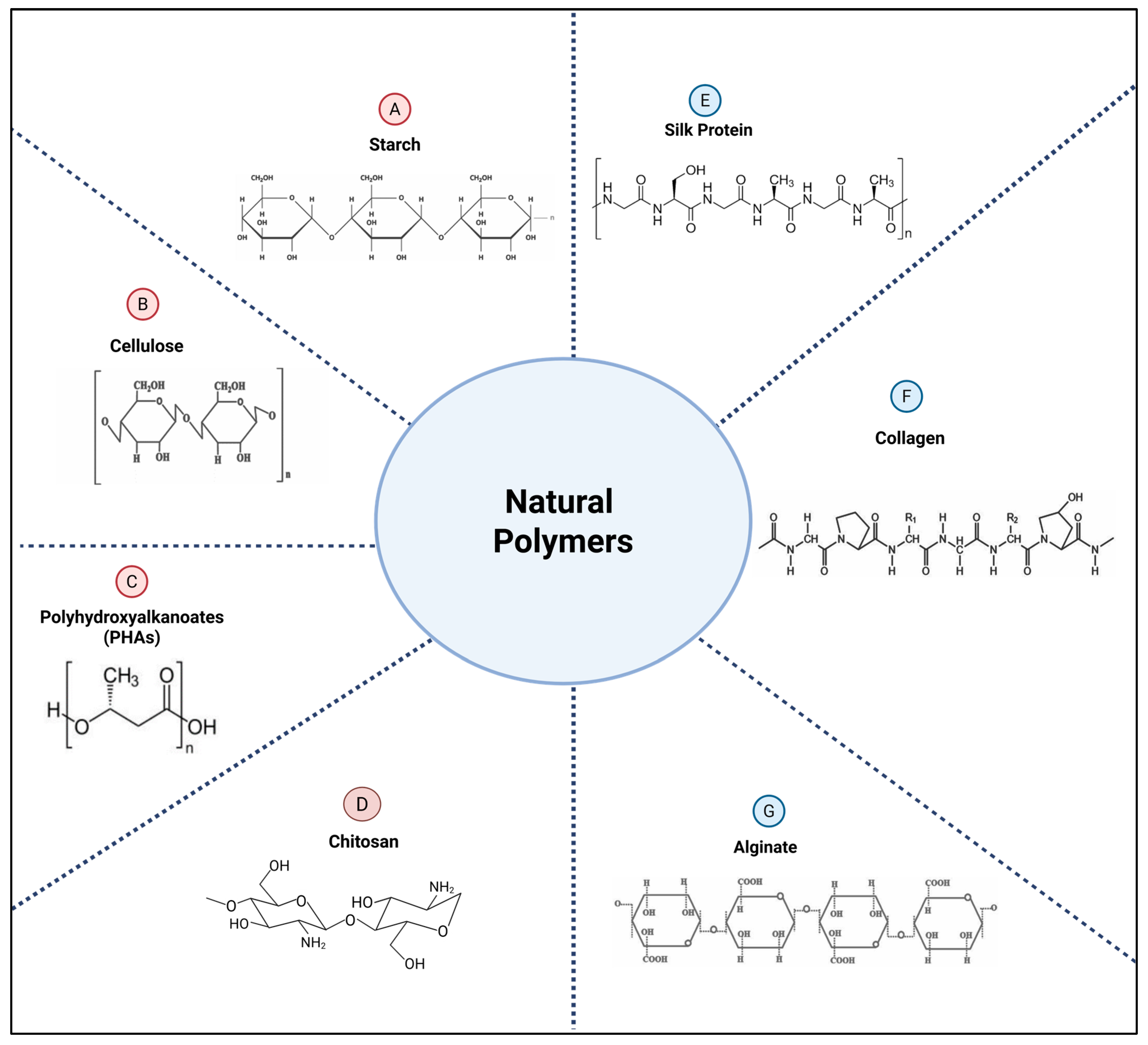 Polymers 17 02901 g001 Polymers 17 02901 g001