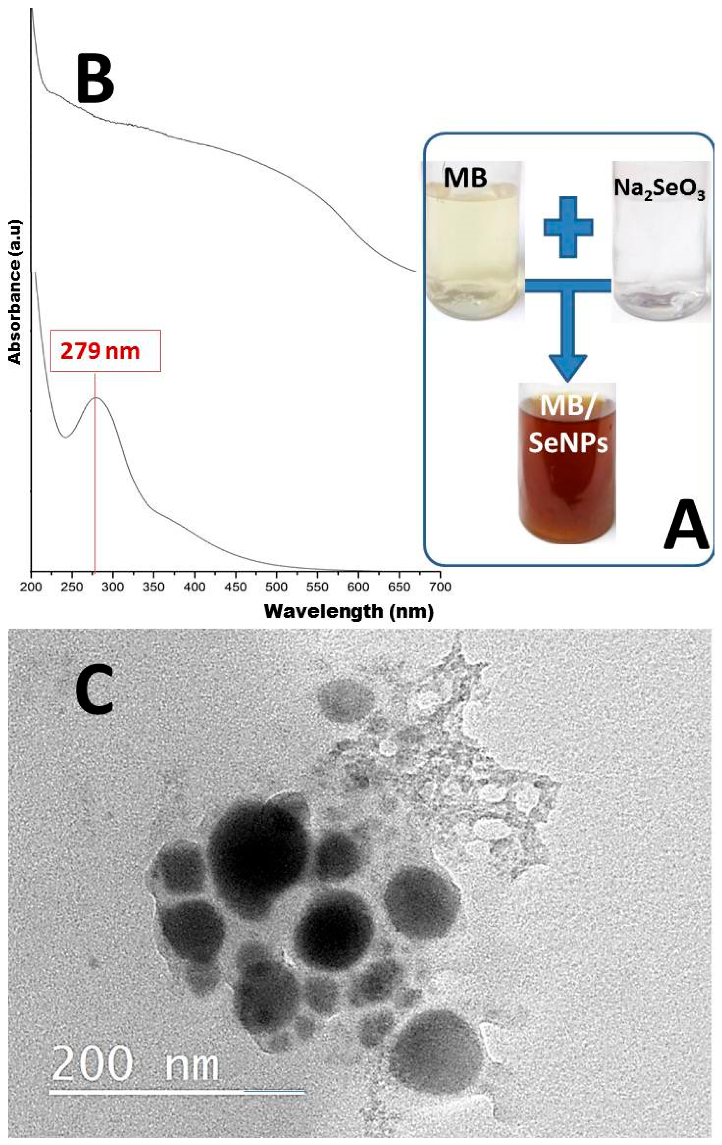 Polymers 17 02902 g001 Polymers 17 02902 g001