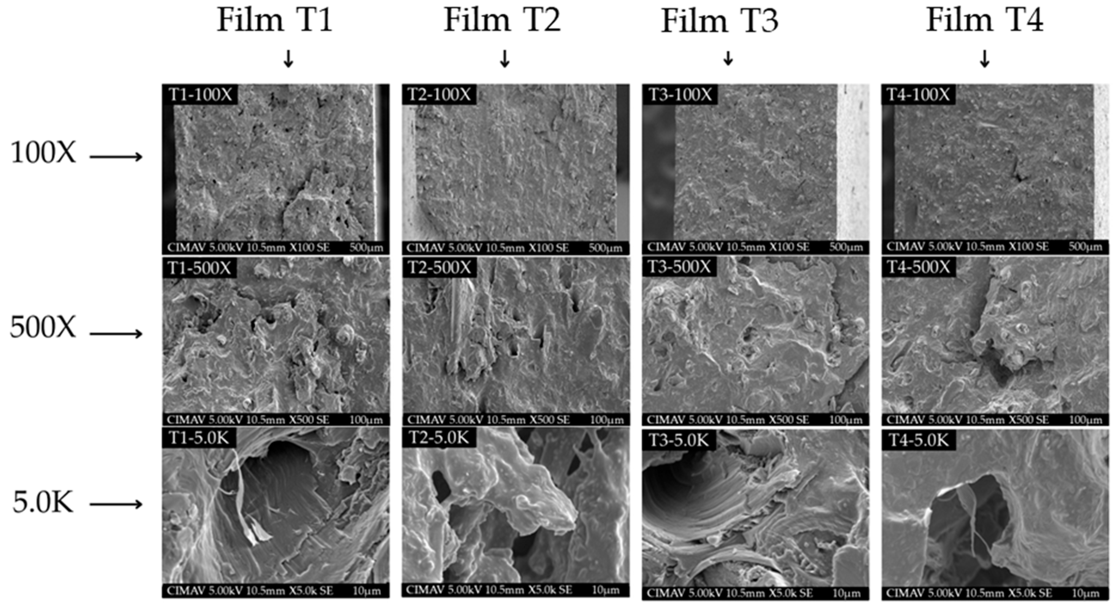 Polymers 17 02903 g004 Polymers 17 02903 g004