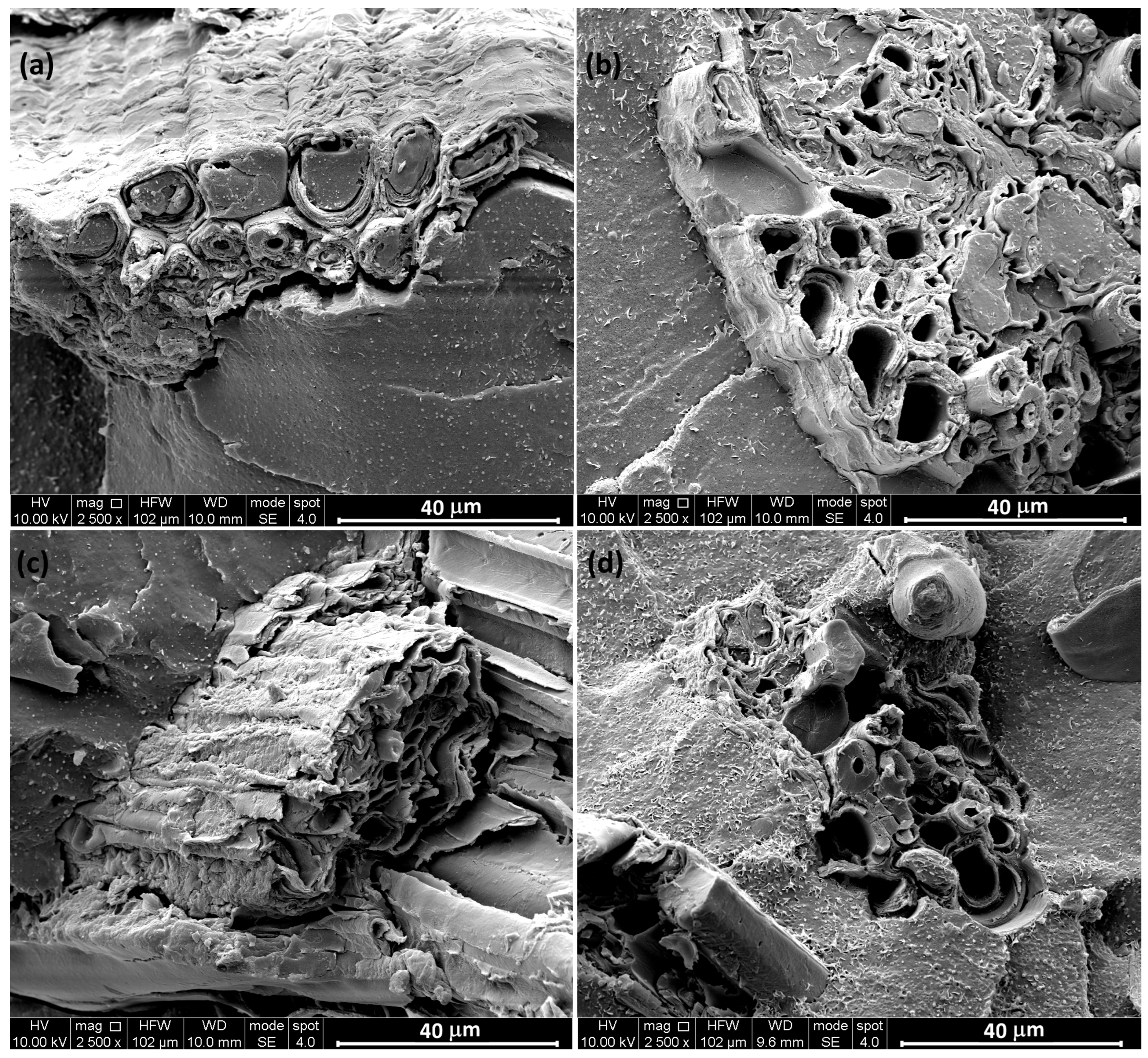 Polymers 17 02909 g003