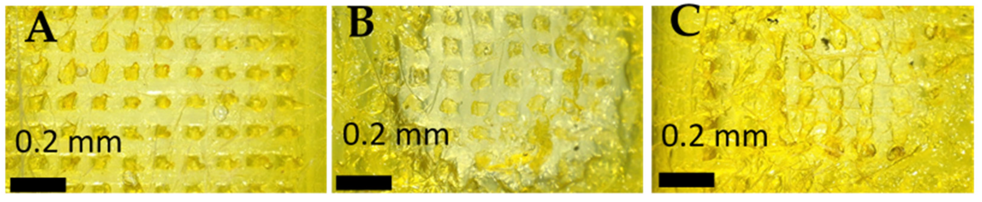 Polymers 17 02912 g004 Polymers 17 02912 g004