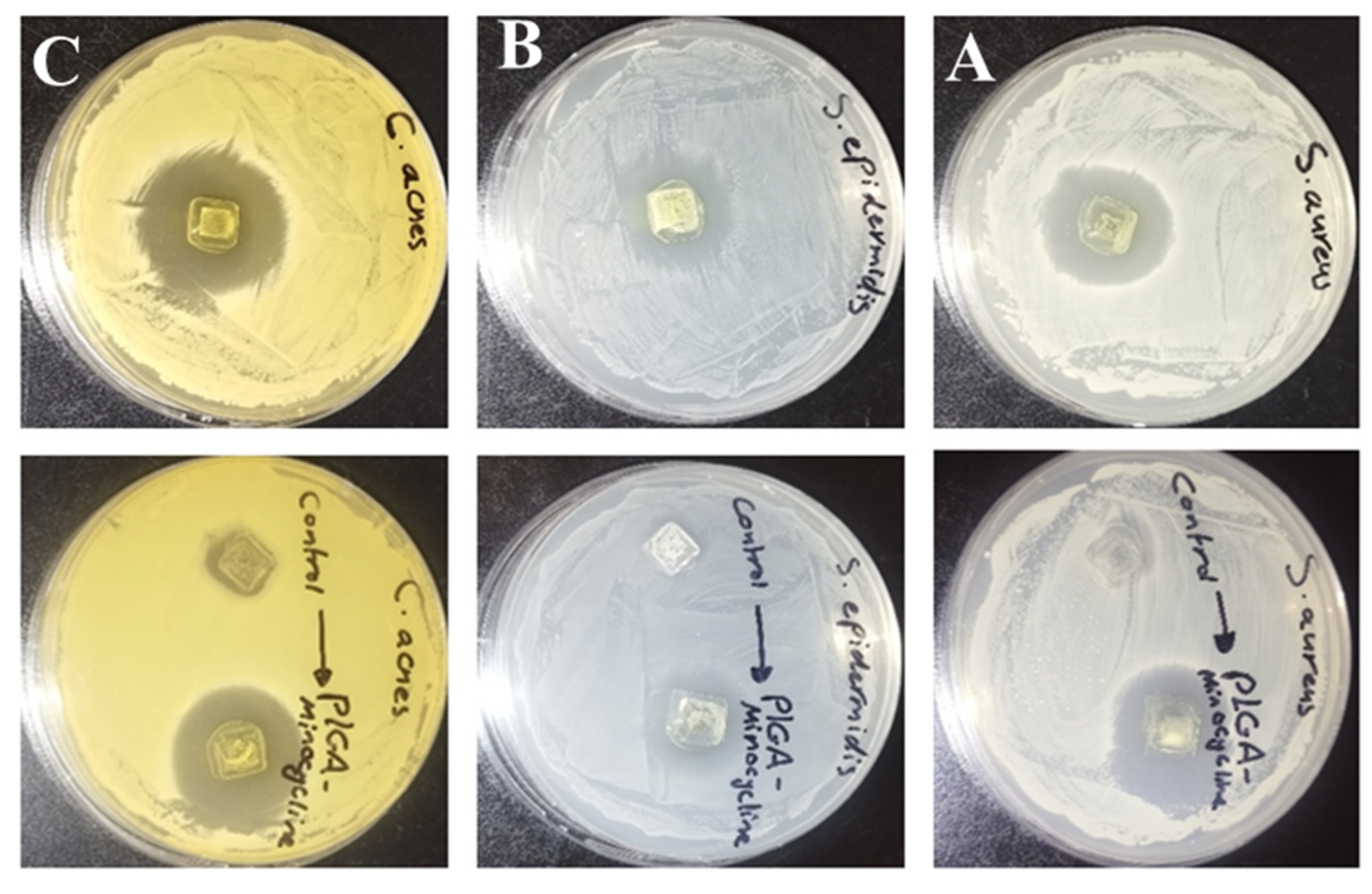 Polymers 17 02912 g006 Polymers 17 02912 g006