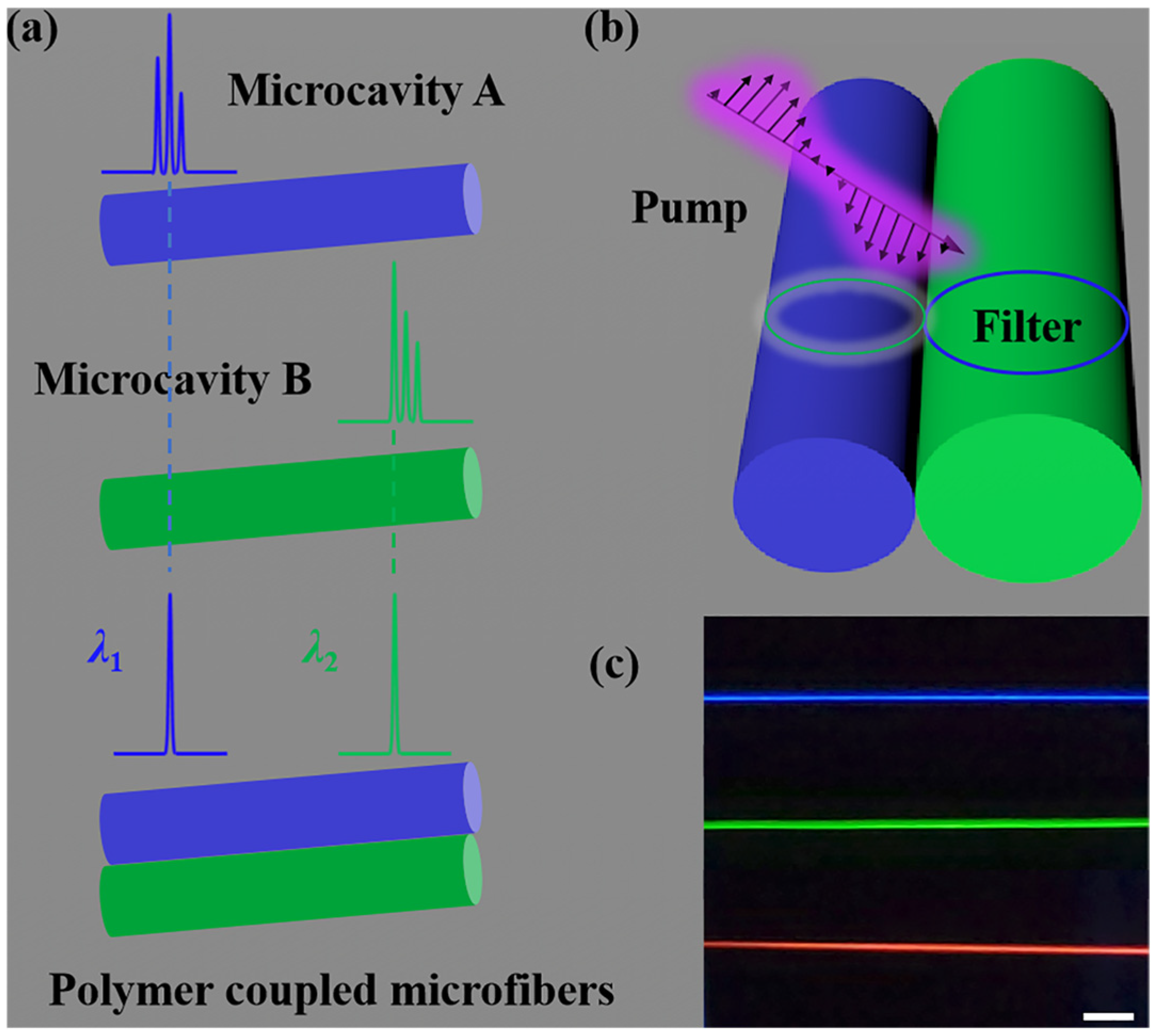 Polymers 17 02917 g001 Polymers 17 02917 g001