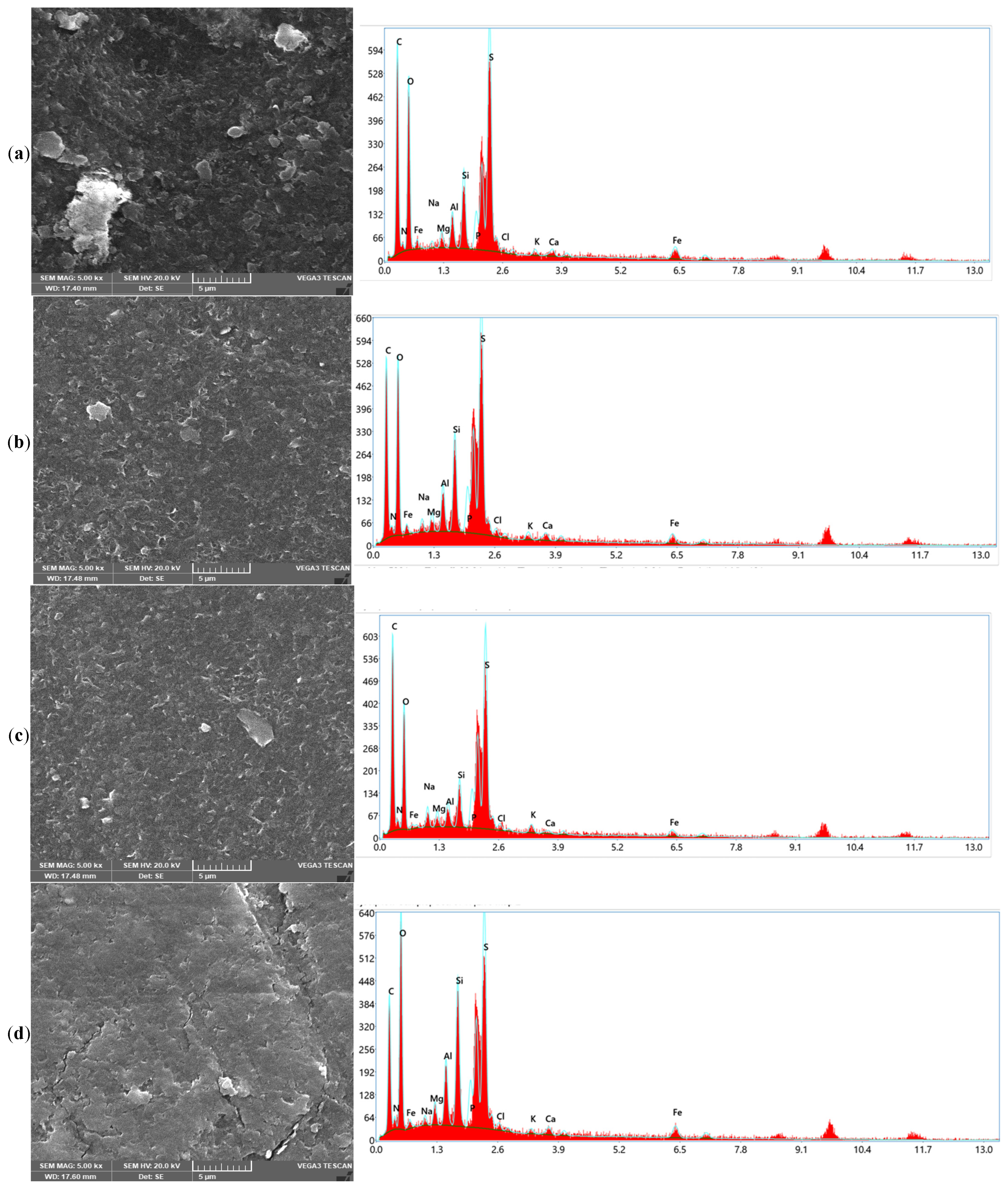 Polymers 17 02922 g004a