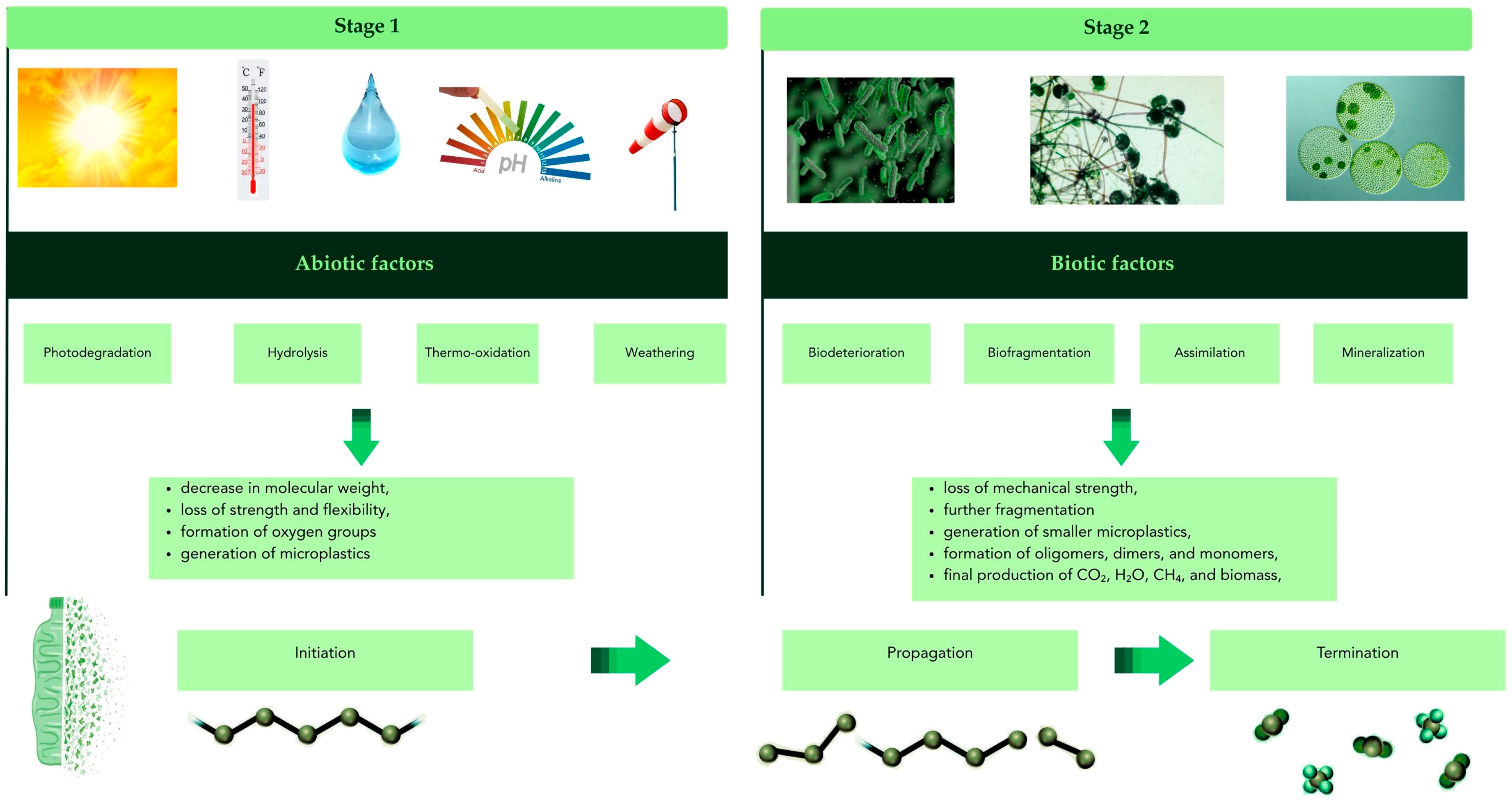 Polymers 17 02923 g002 Polymers 17 02923 g002