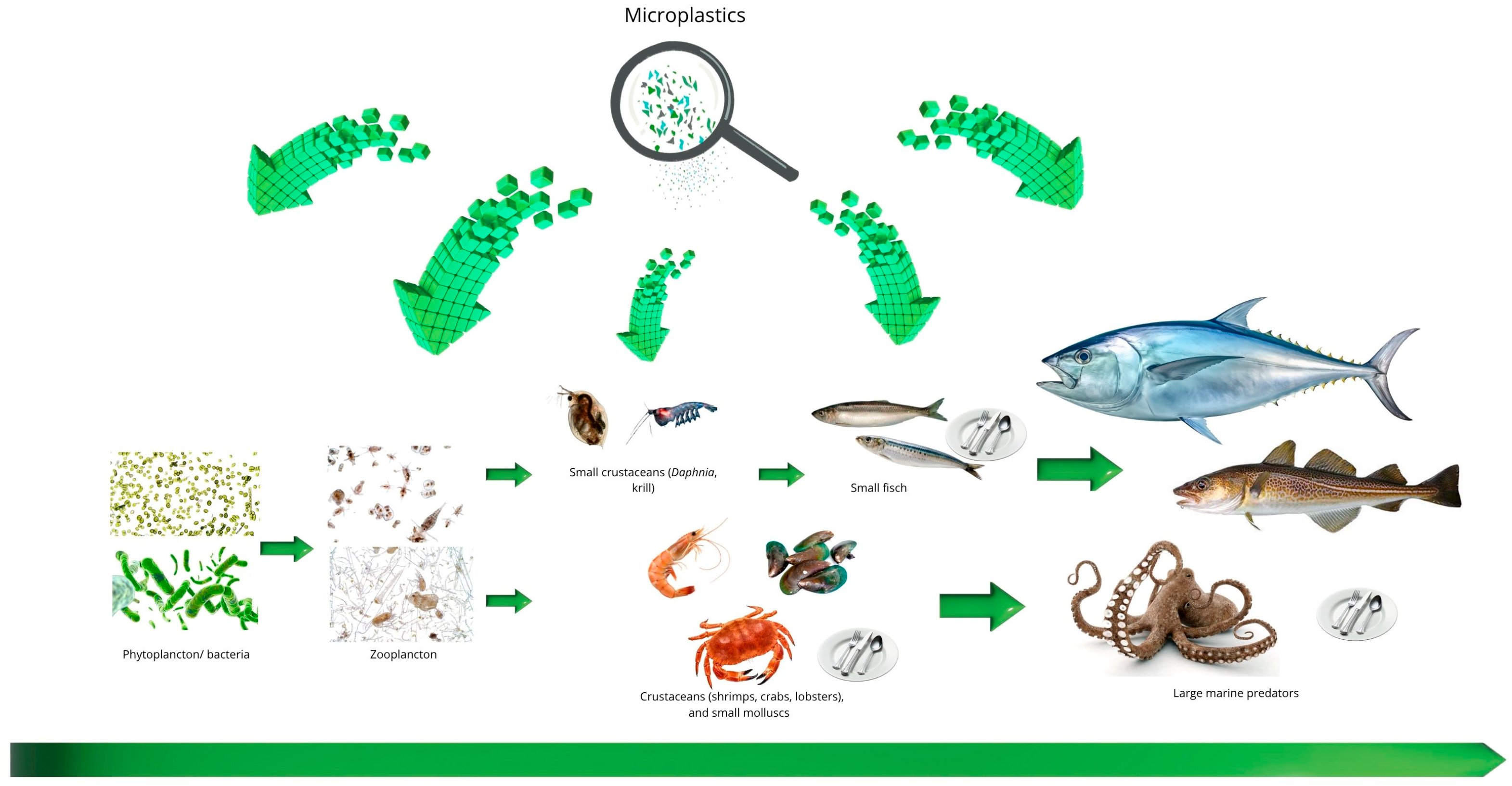 Polymers 17 02923 g003 Polymers 17 02923 g003