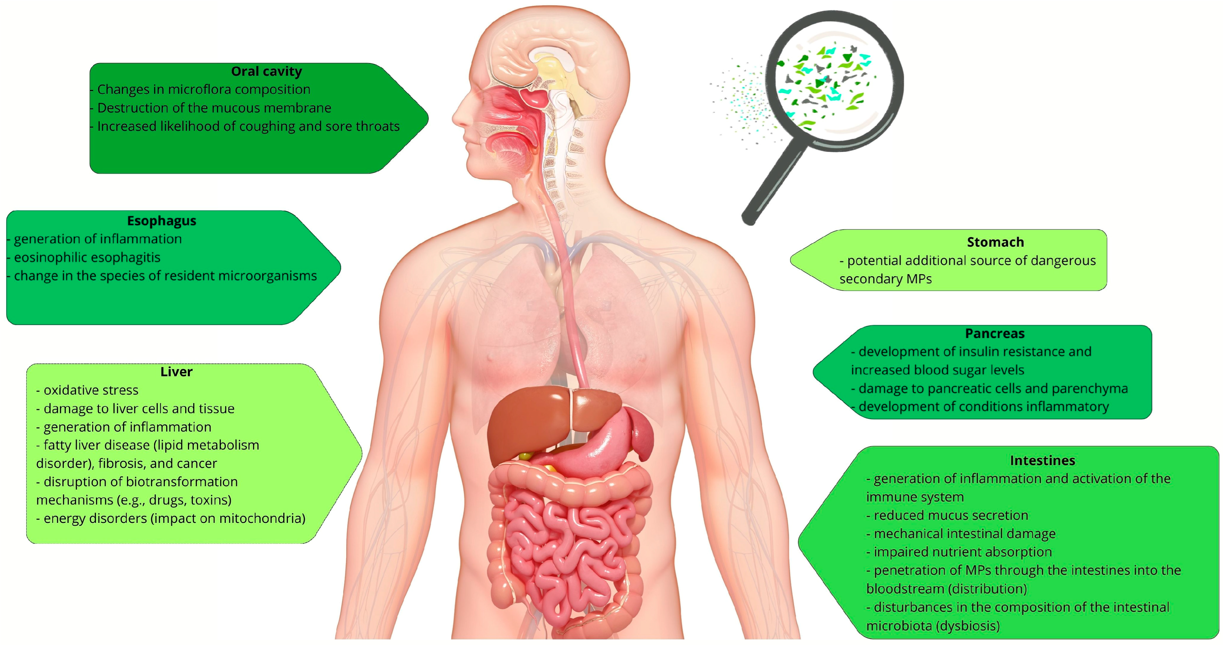 Polymers 17 02923 g004 Polymers 17 02923 g004