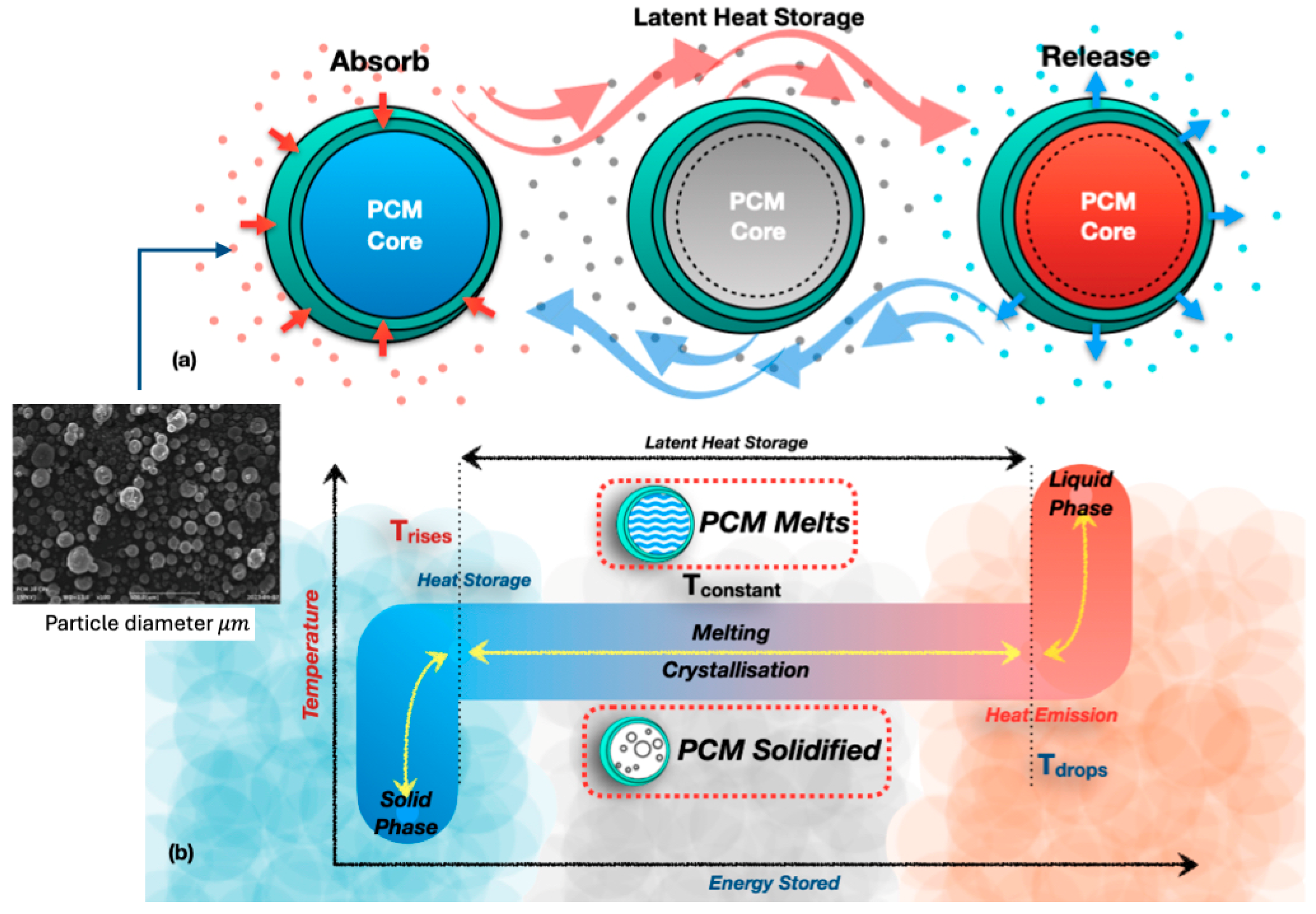 Polymers 17 02925 g005