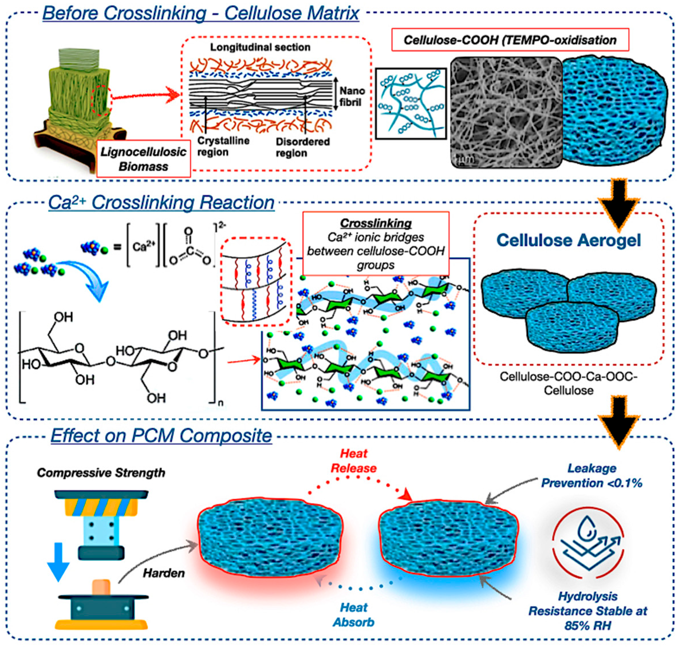 Polymers 17 02925 g006