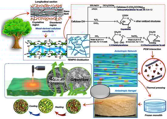 Polymers 17 02925 g007