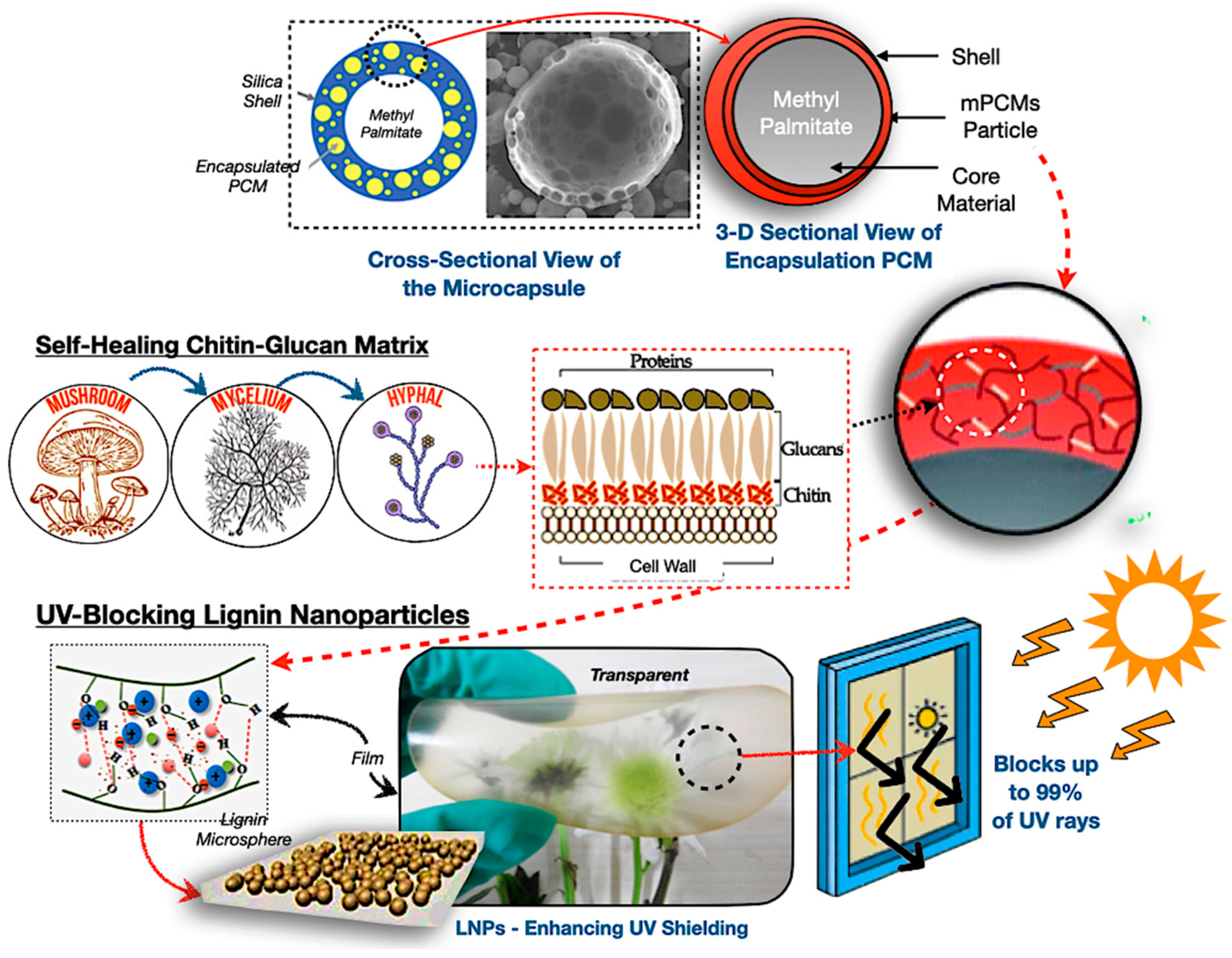 Polymers 17 02925 g008