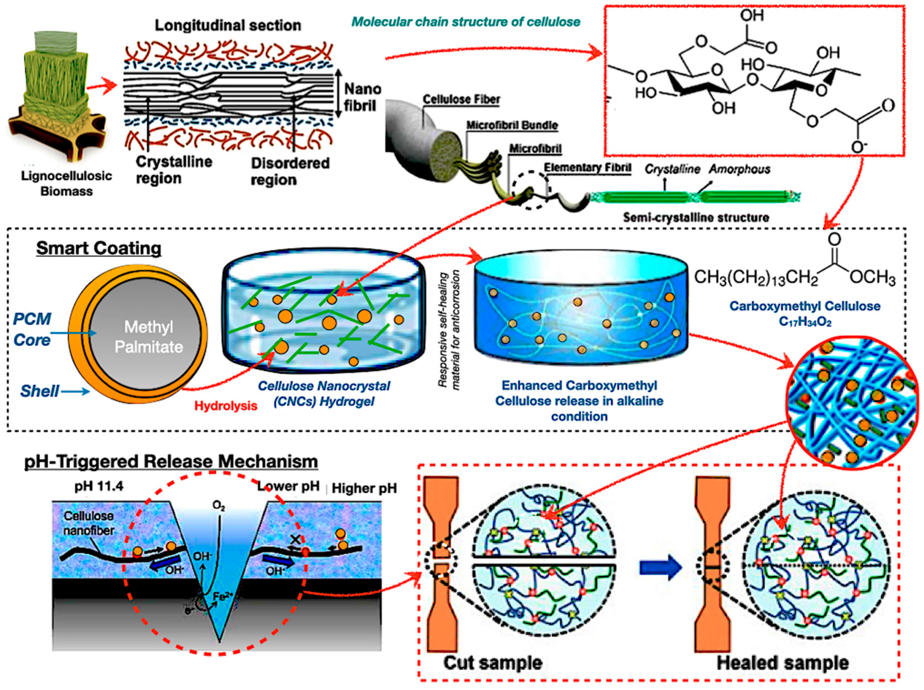 Polymers 17 02925 g009