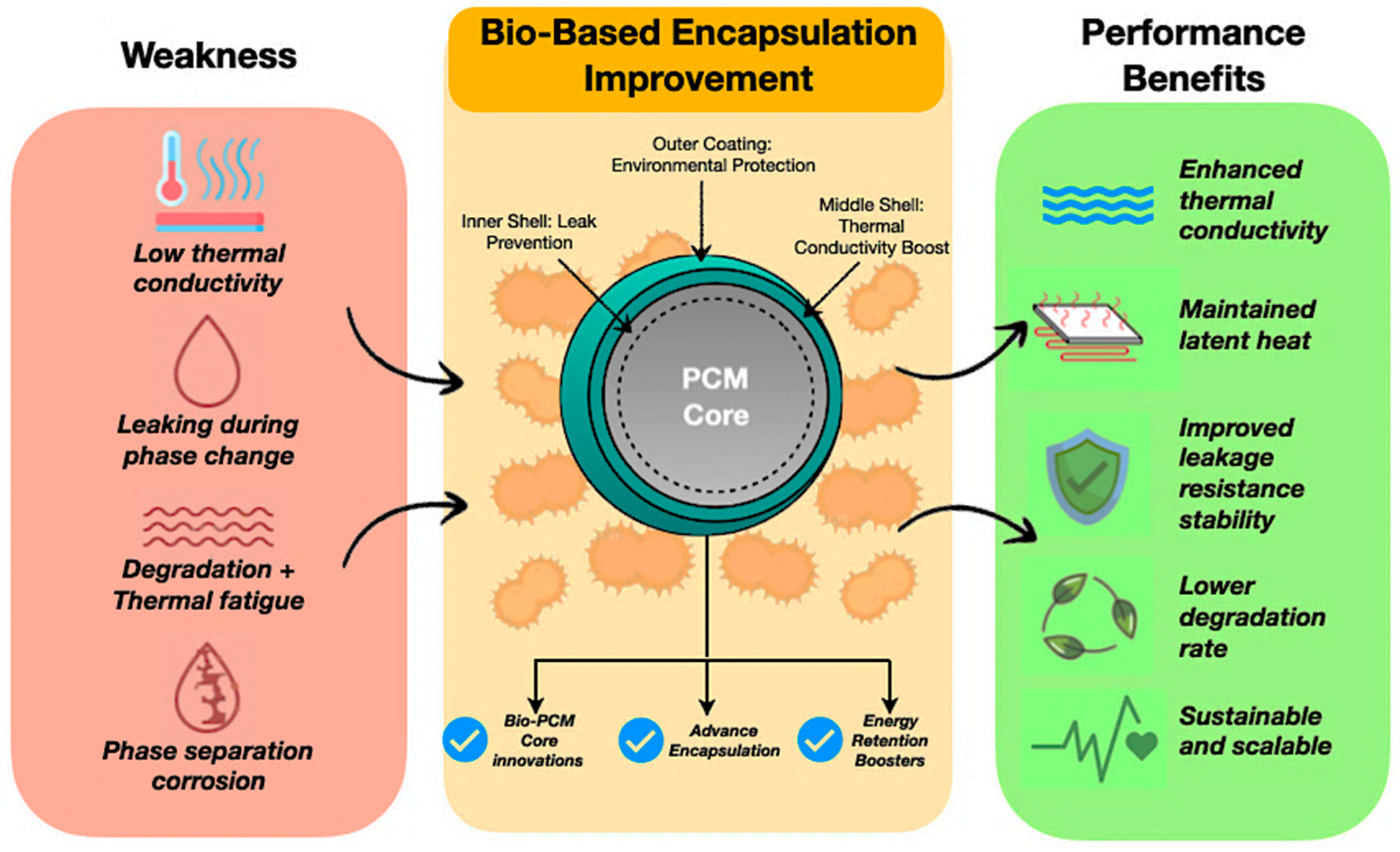 Polymers 17 02925 g011