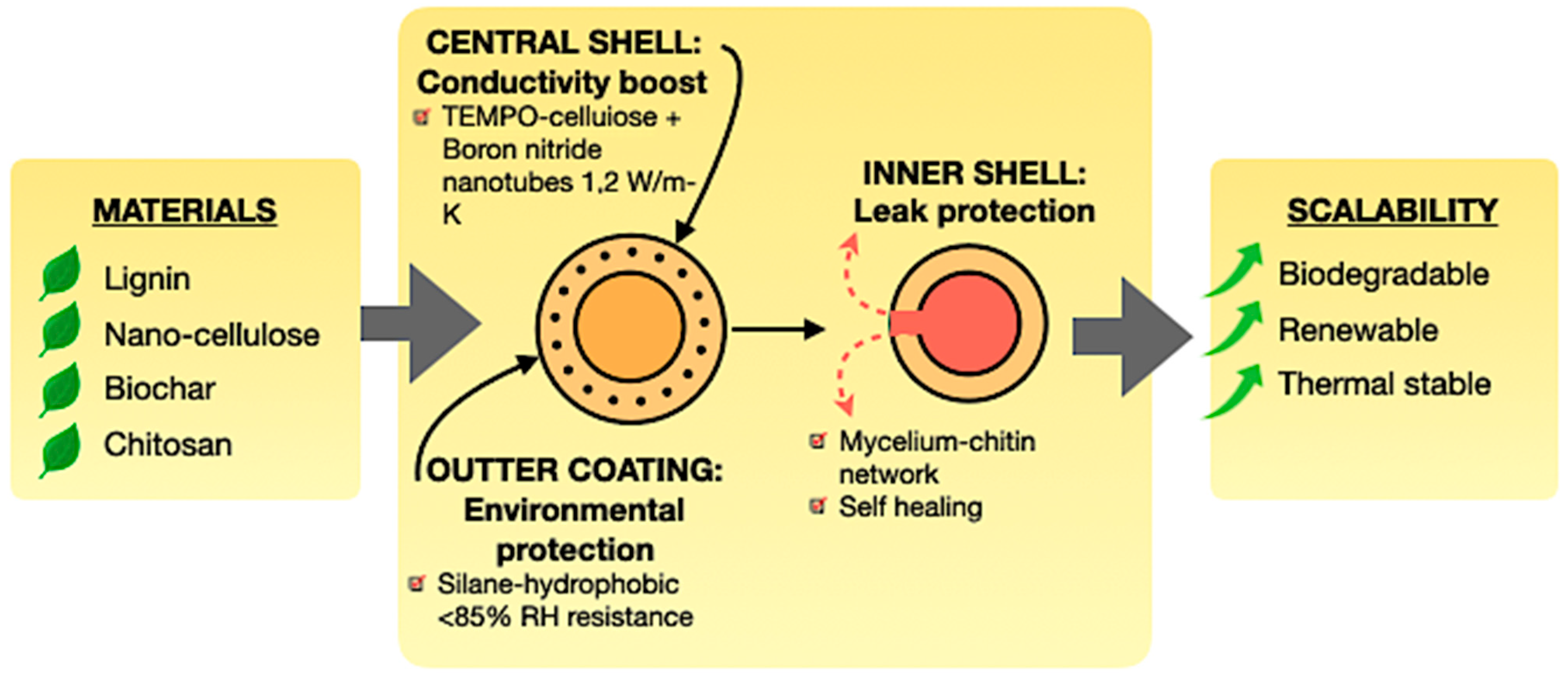 Polymers 17 02925 g016