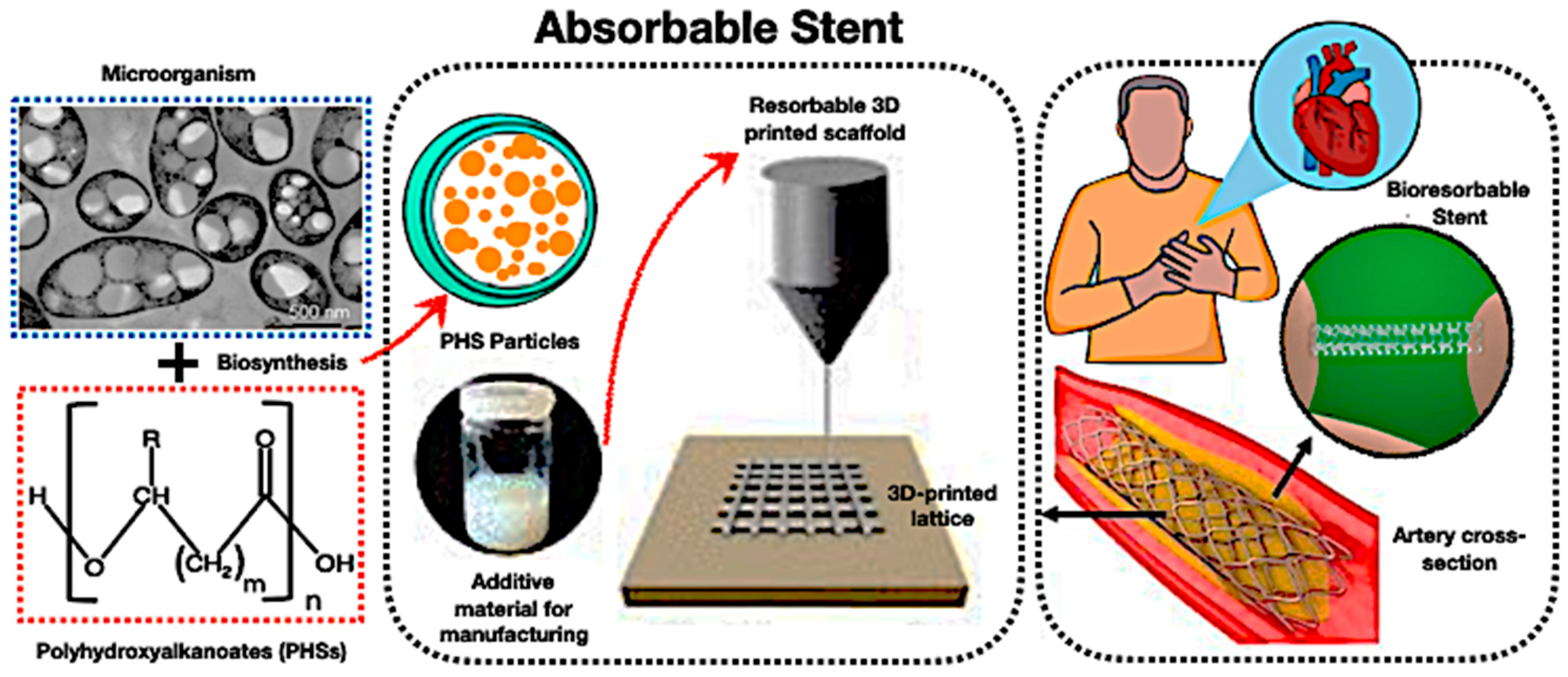 Polymers 17 02925 g020