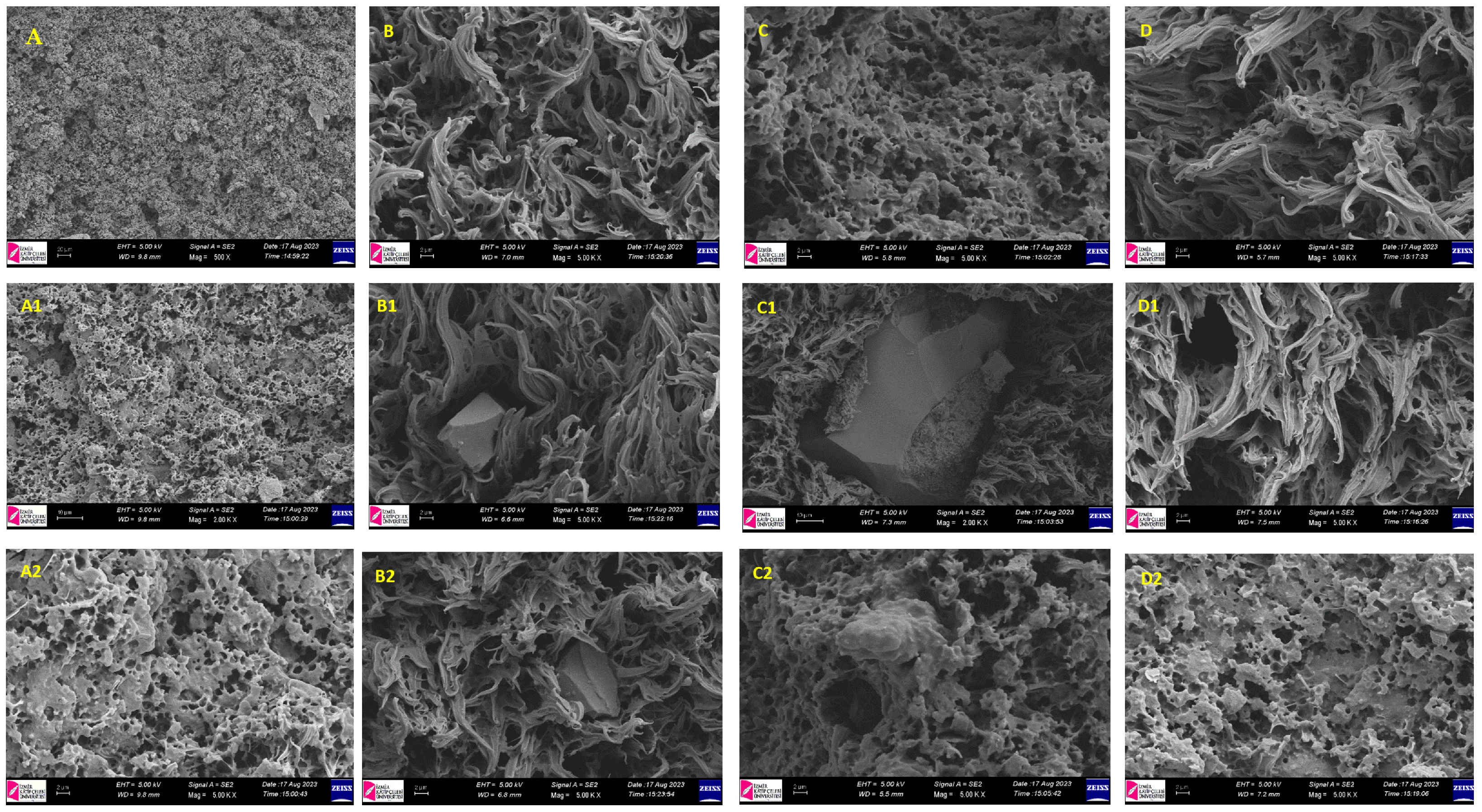 Polymers 17 02928 g009 Polymers 17 02928 g009