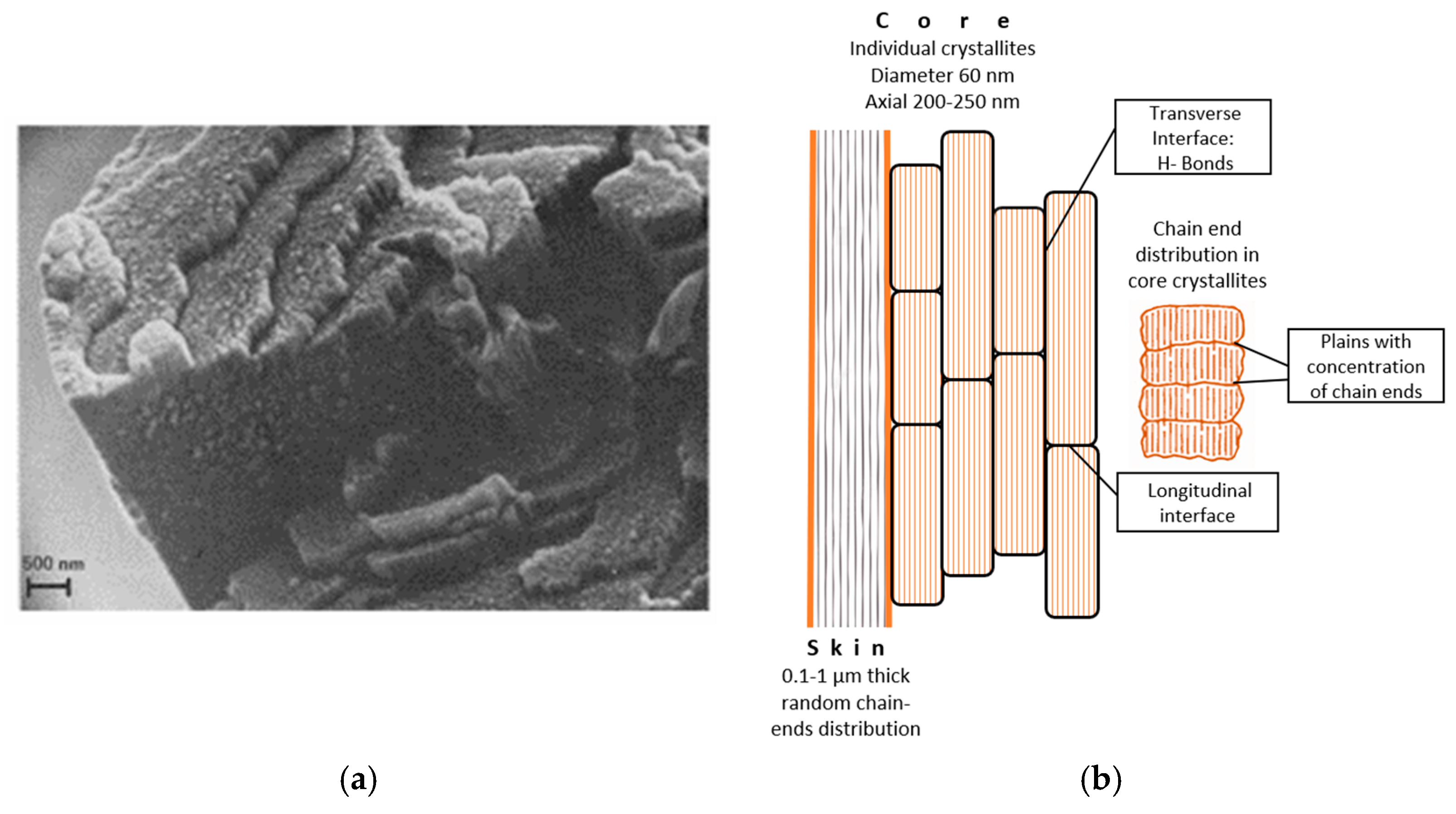 Polymers 17 02931 g003